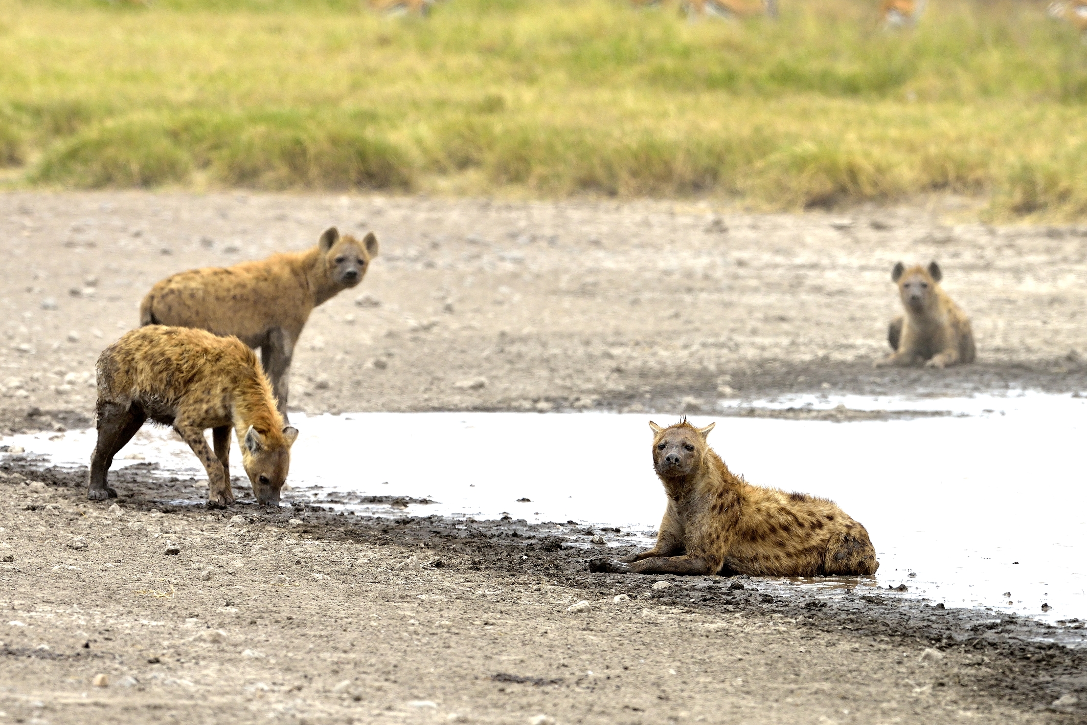 Tanzania 2015 - Al lago
