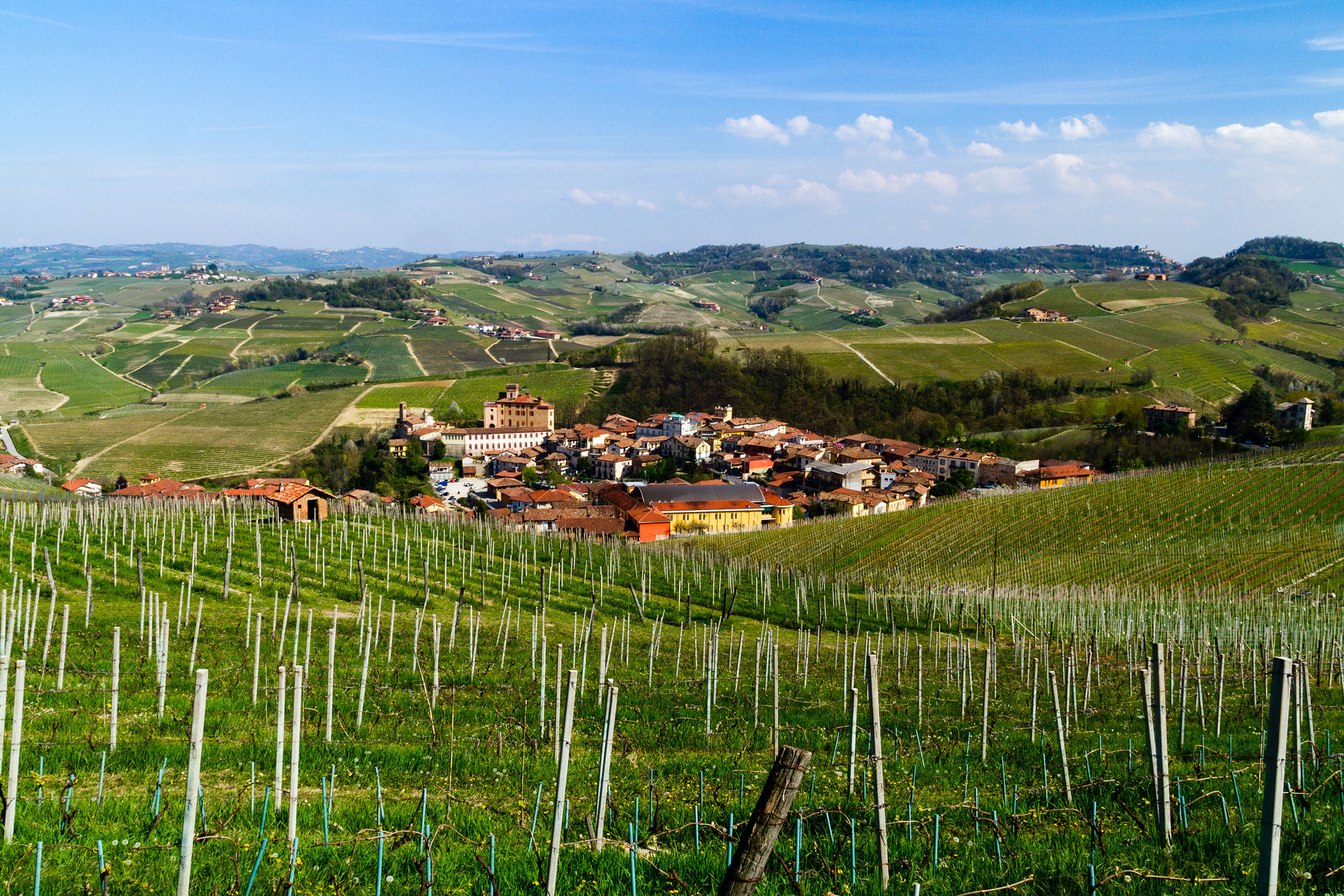 Barolo