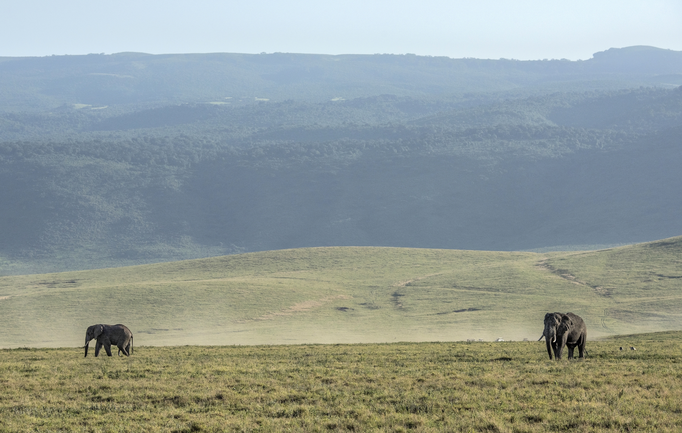 Tanzania 2015 - Ngorongoro crater