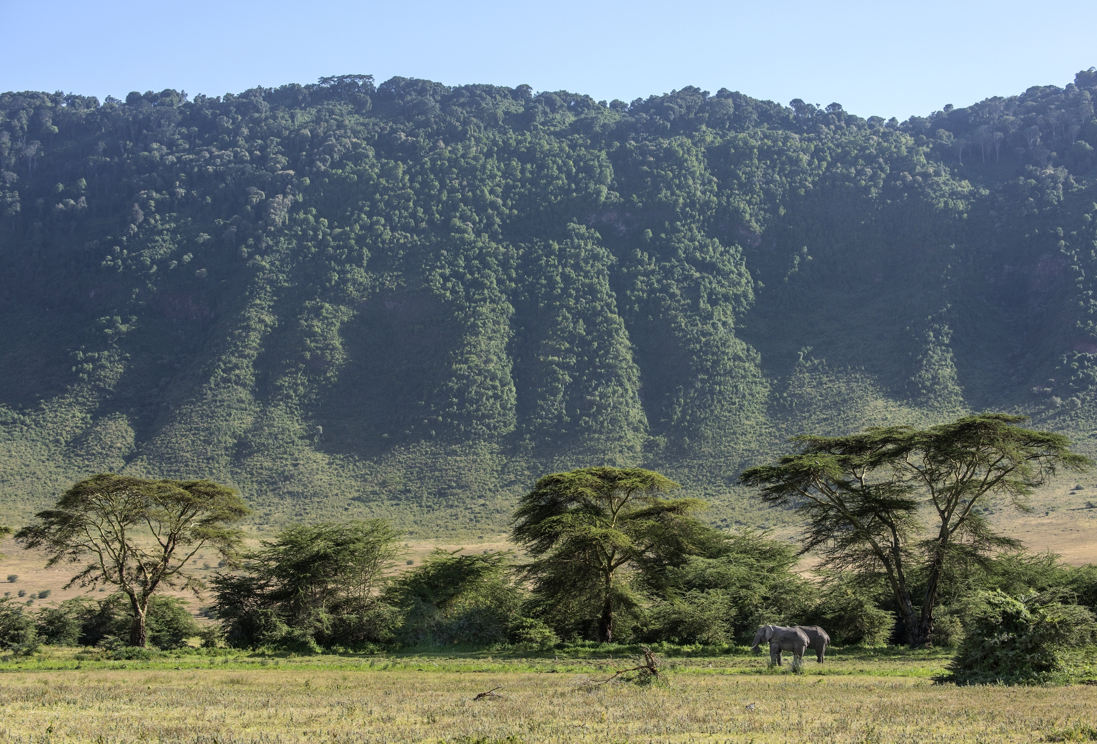 Tanzania 2015 - Ngorongoro
