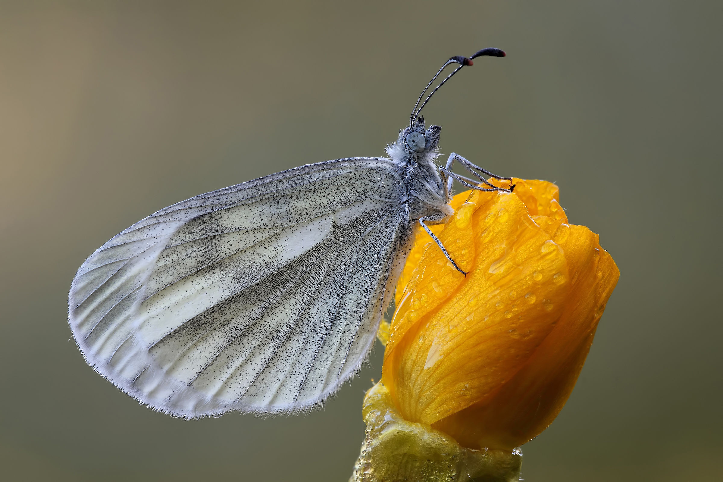 Lights and Shadows !!!