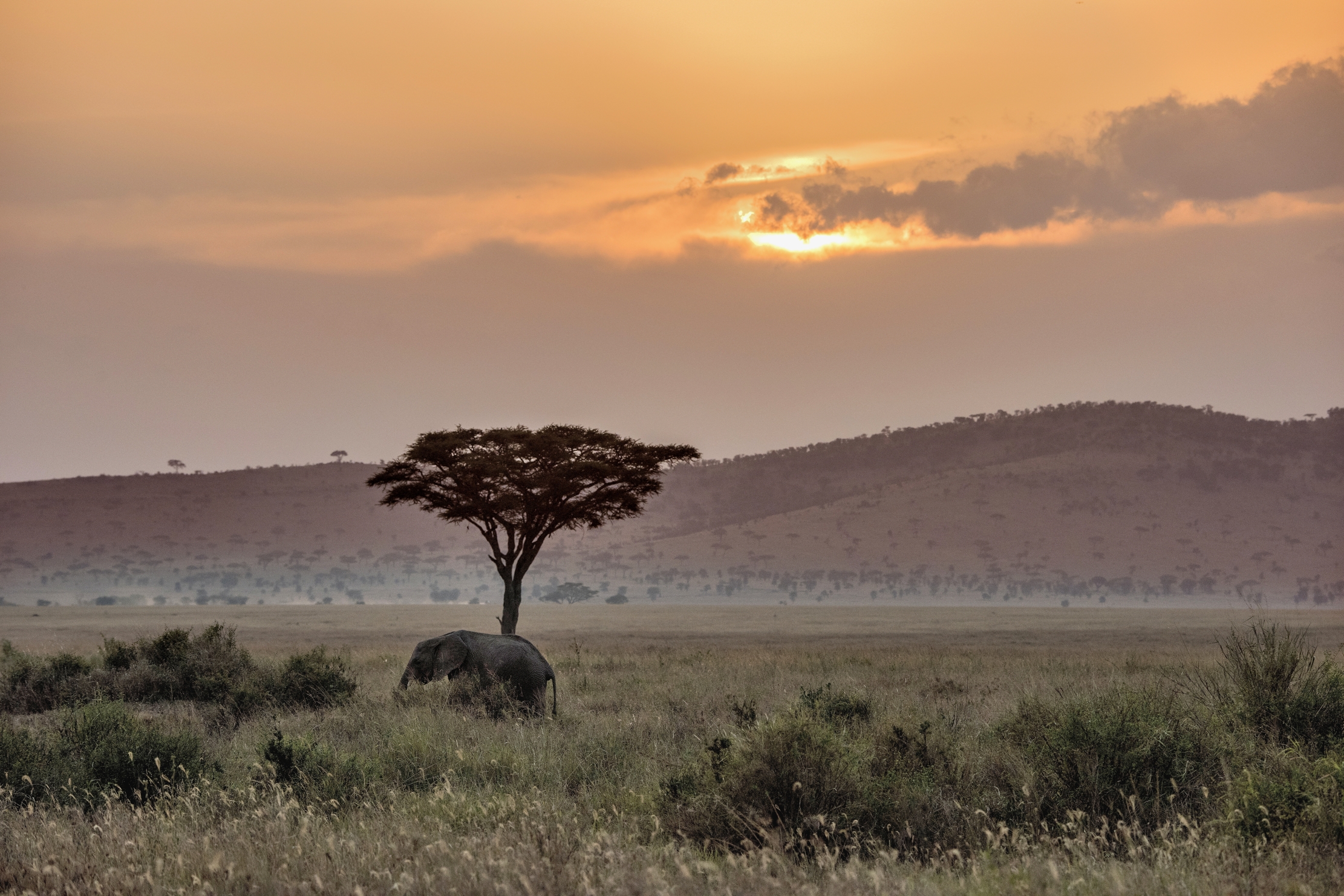 Tanzania 2015 - Tramonto