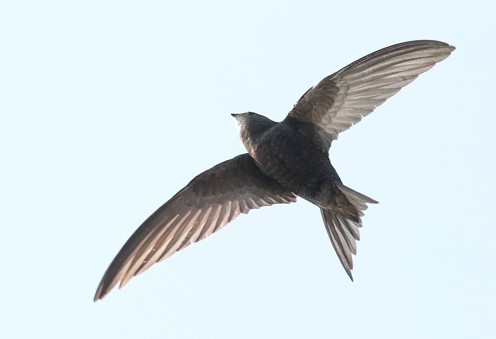 Twists for a turn-boggling