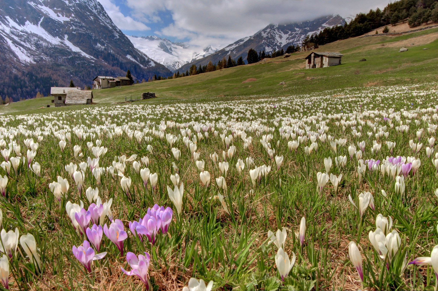 Spring in Valmalenco