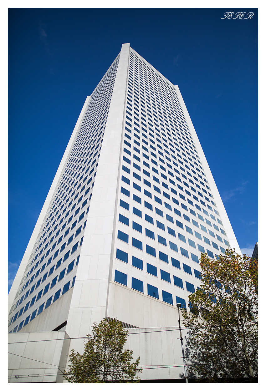 Test shot Sigma 24mm 1.4 Art wide open