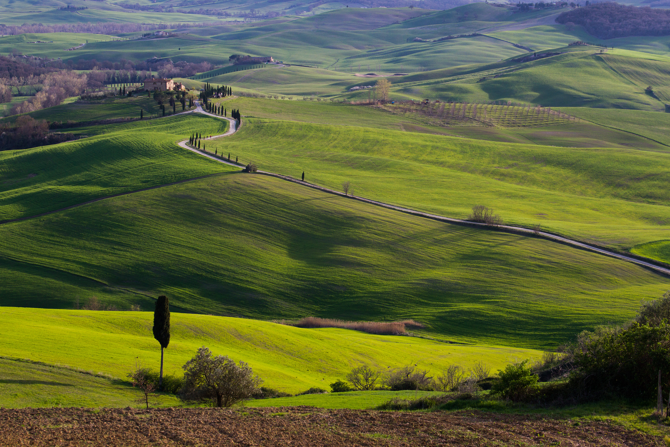 Val d'Orcia