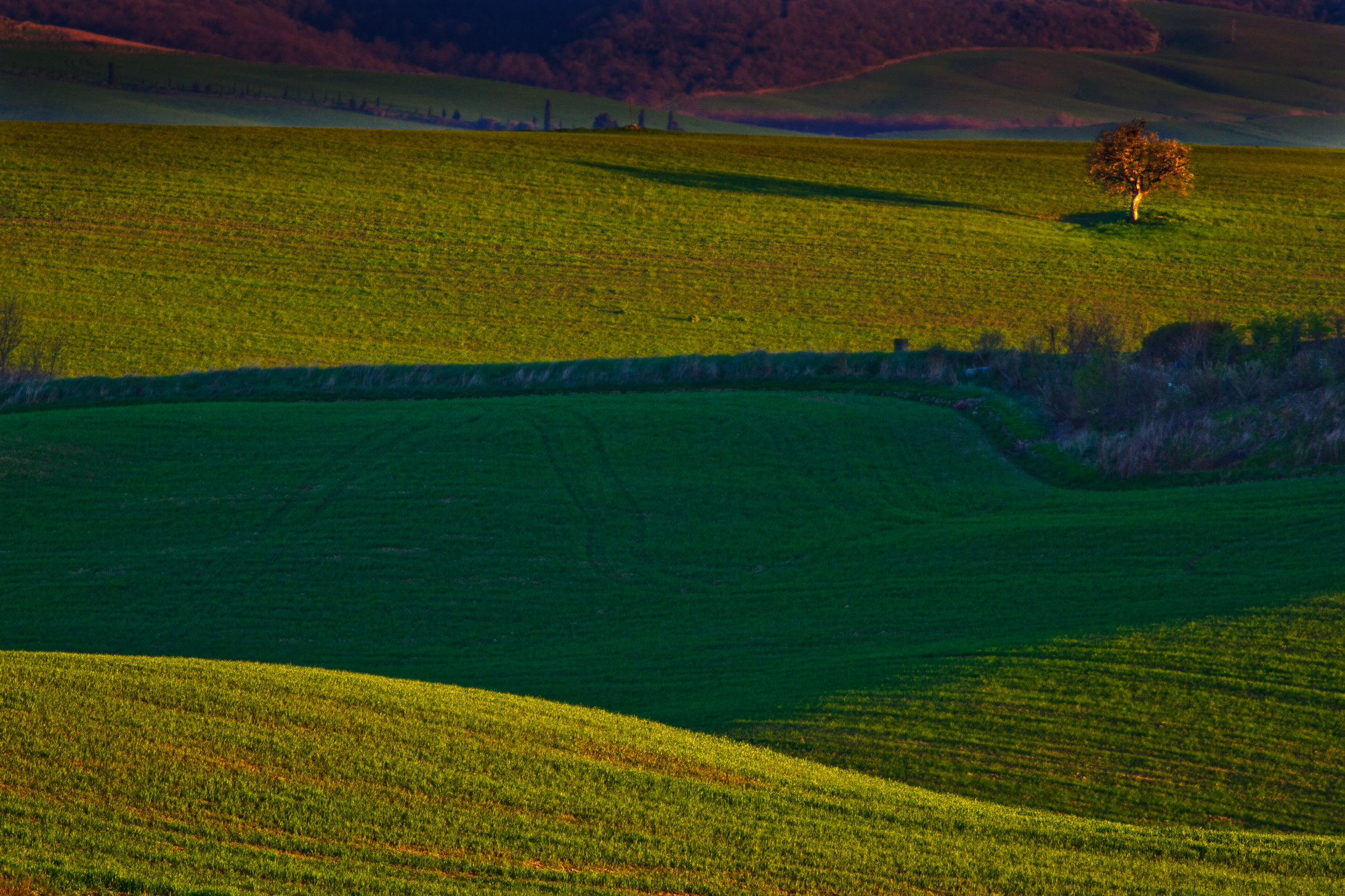 Val d'Orcia