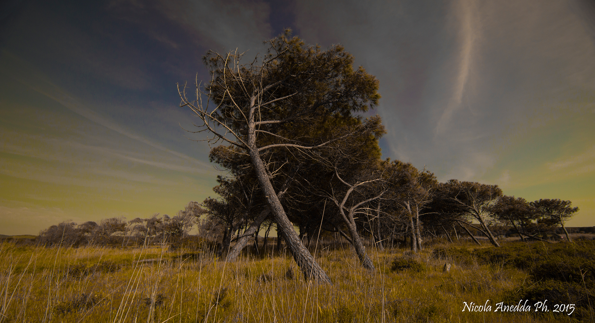 the strength of eolo