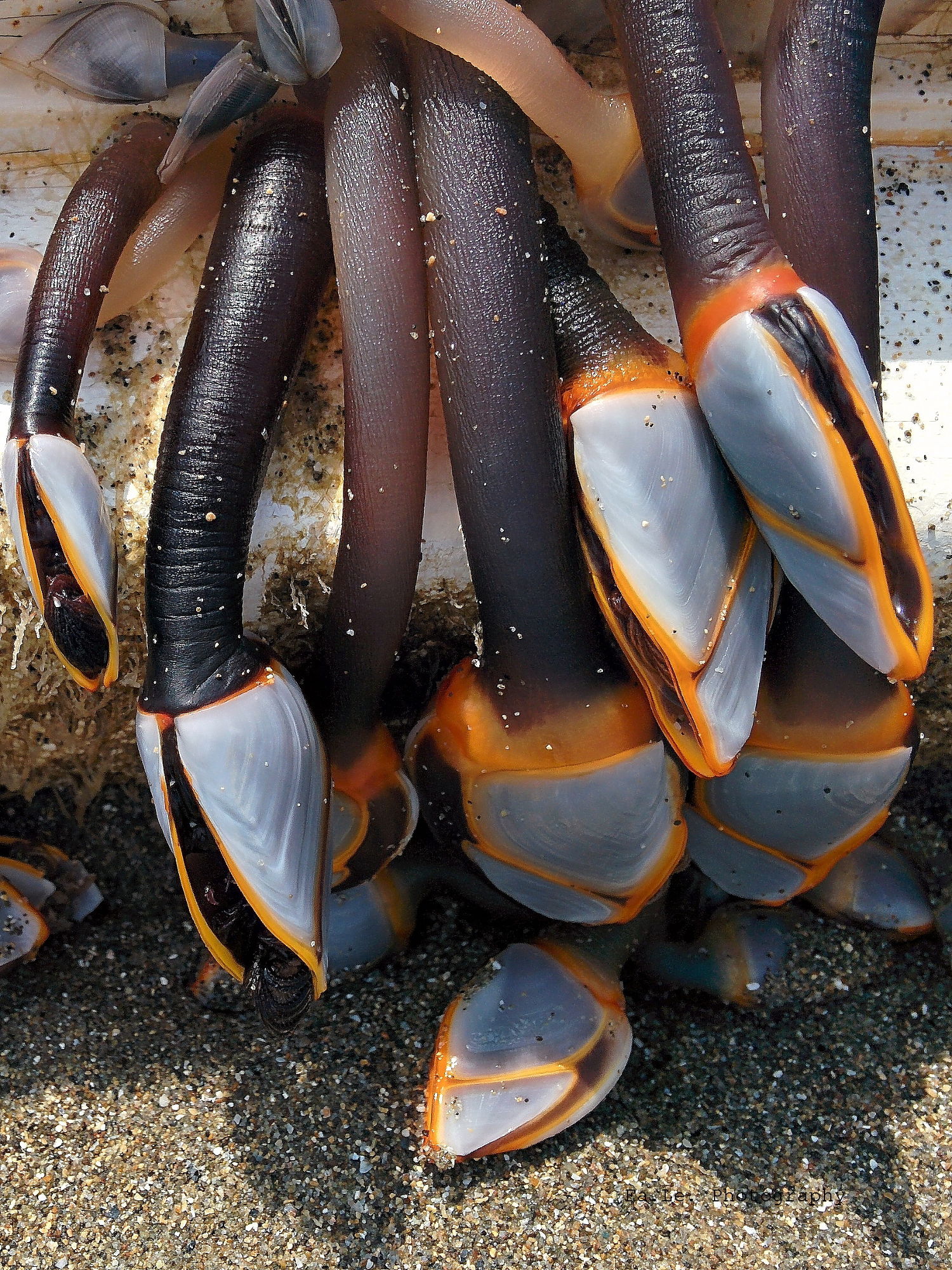 Never Say Never Again