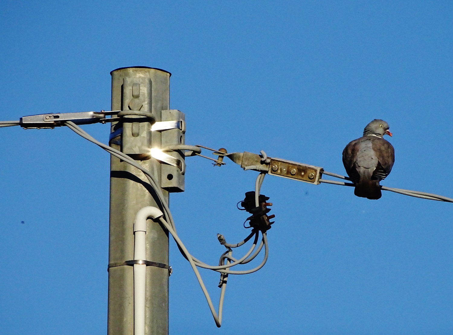 ancora tu? ma non dovevamo non vederci più?