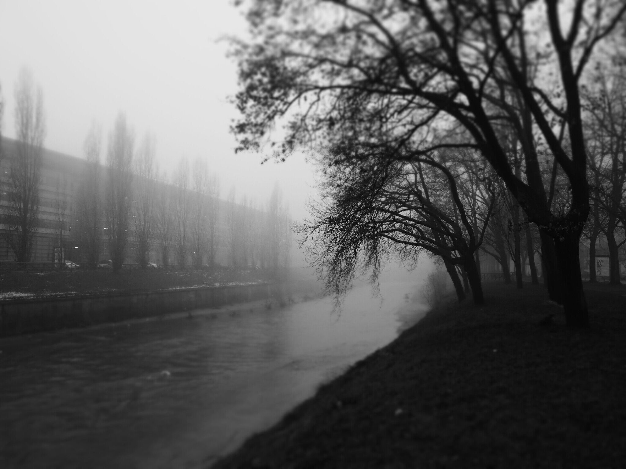 Avenues, canals, landscapes trivial ...