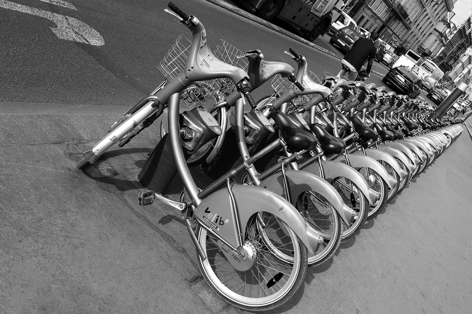 One it's Free! - Una è Libera!