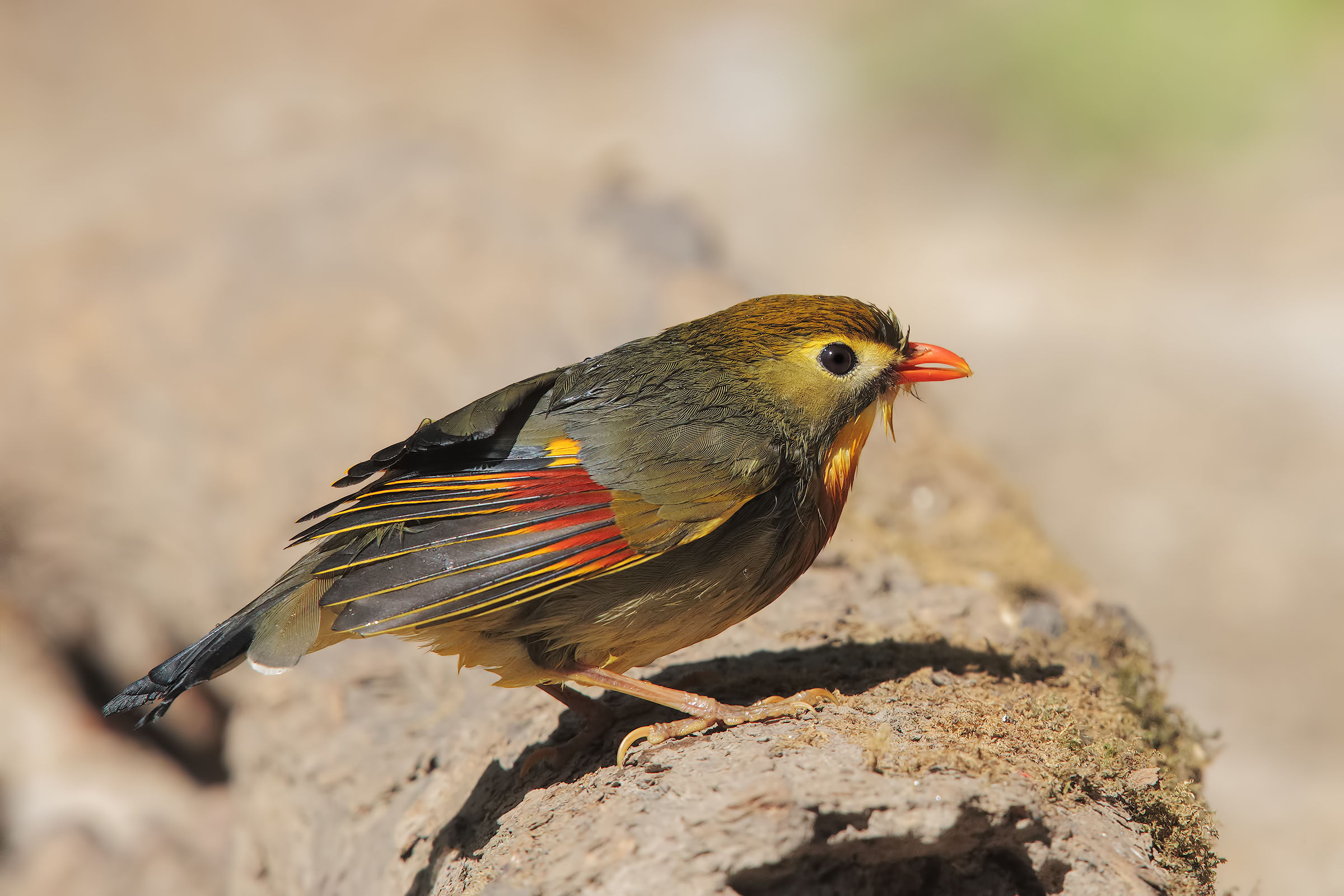 a 6400 iso con la vecchietta...