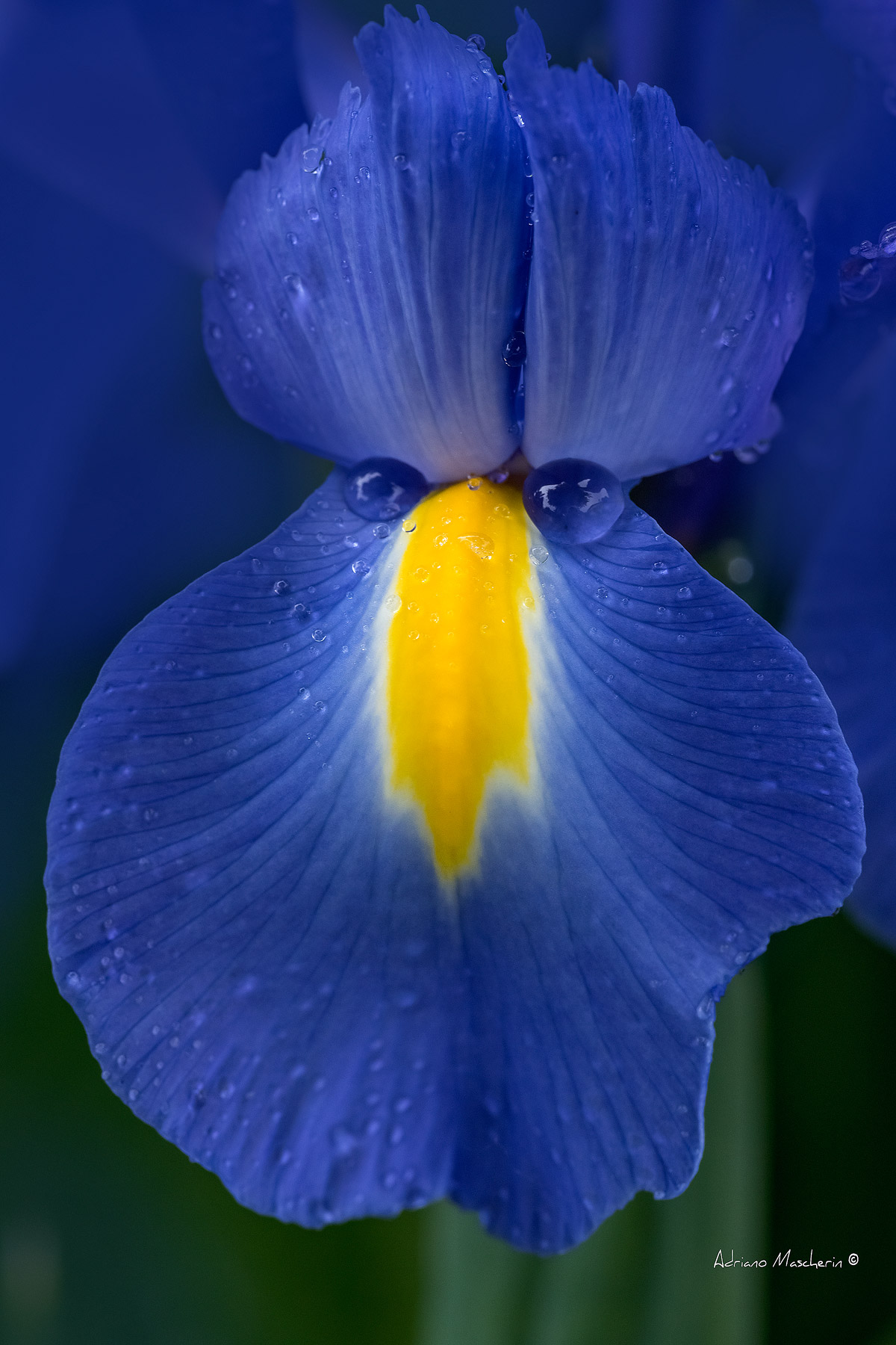 I will also look .....