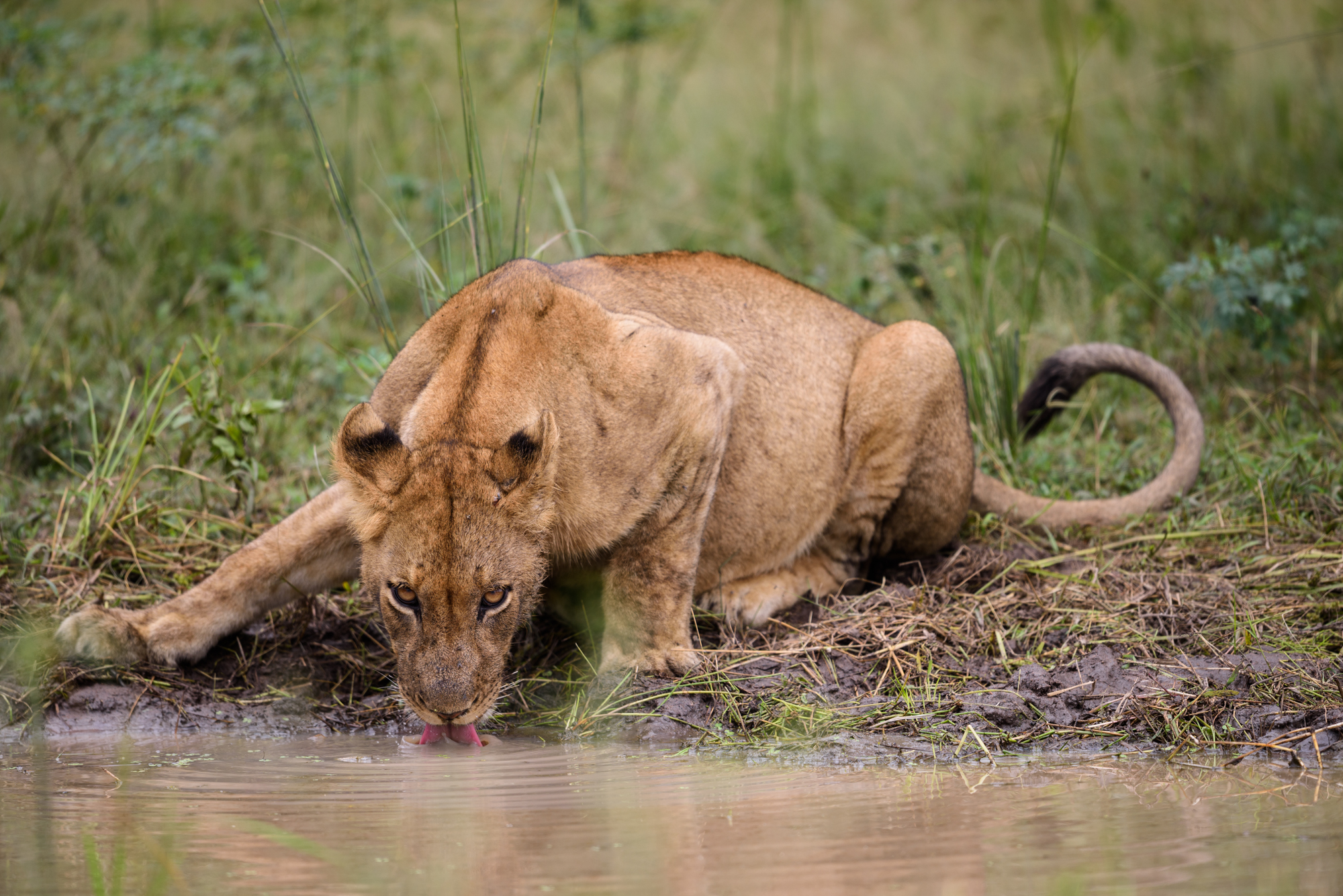 We keep an eye on ...