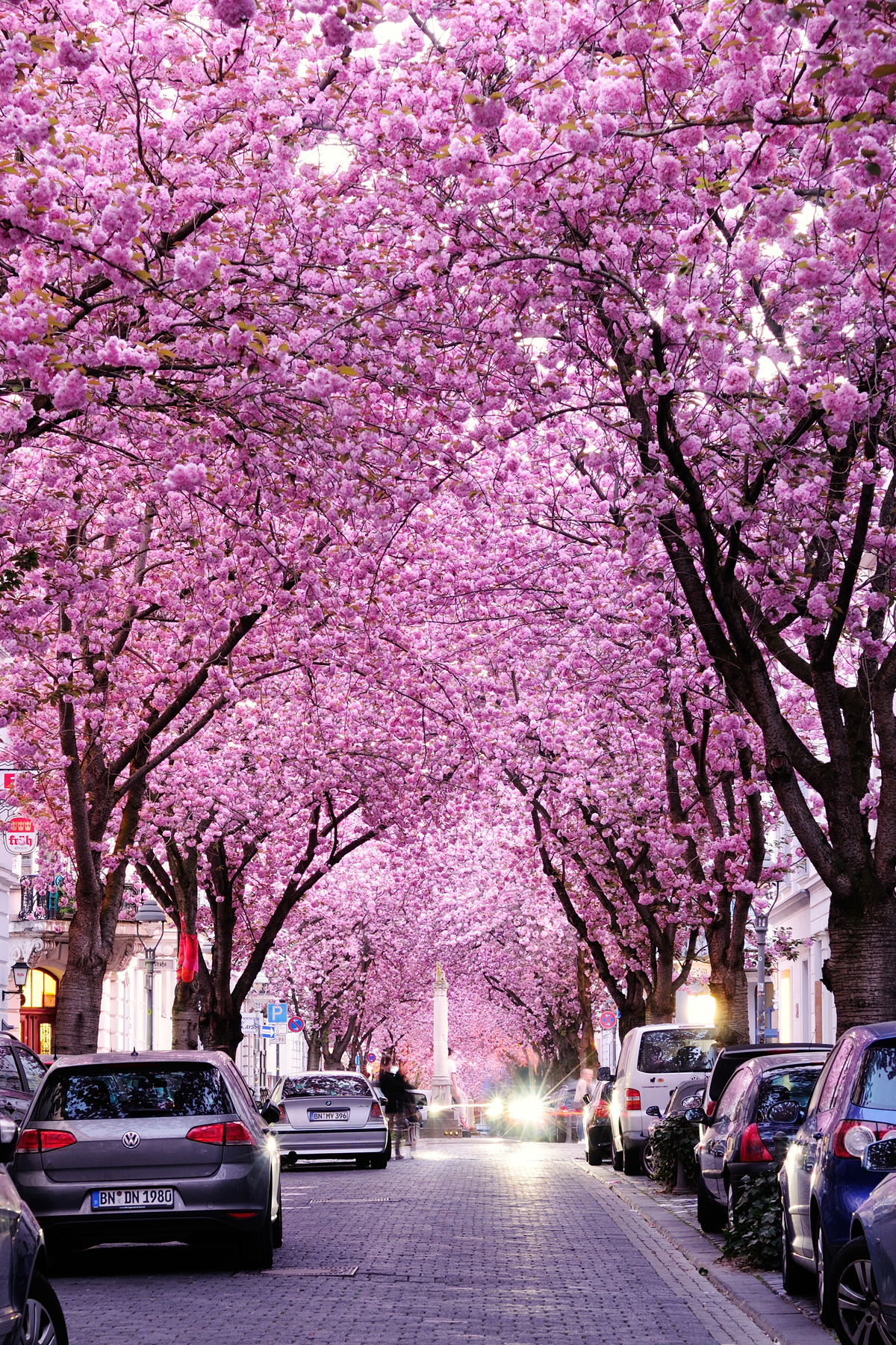 Serata magica a Bonn