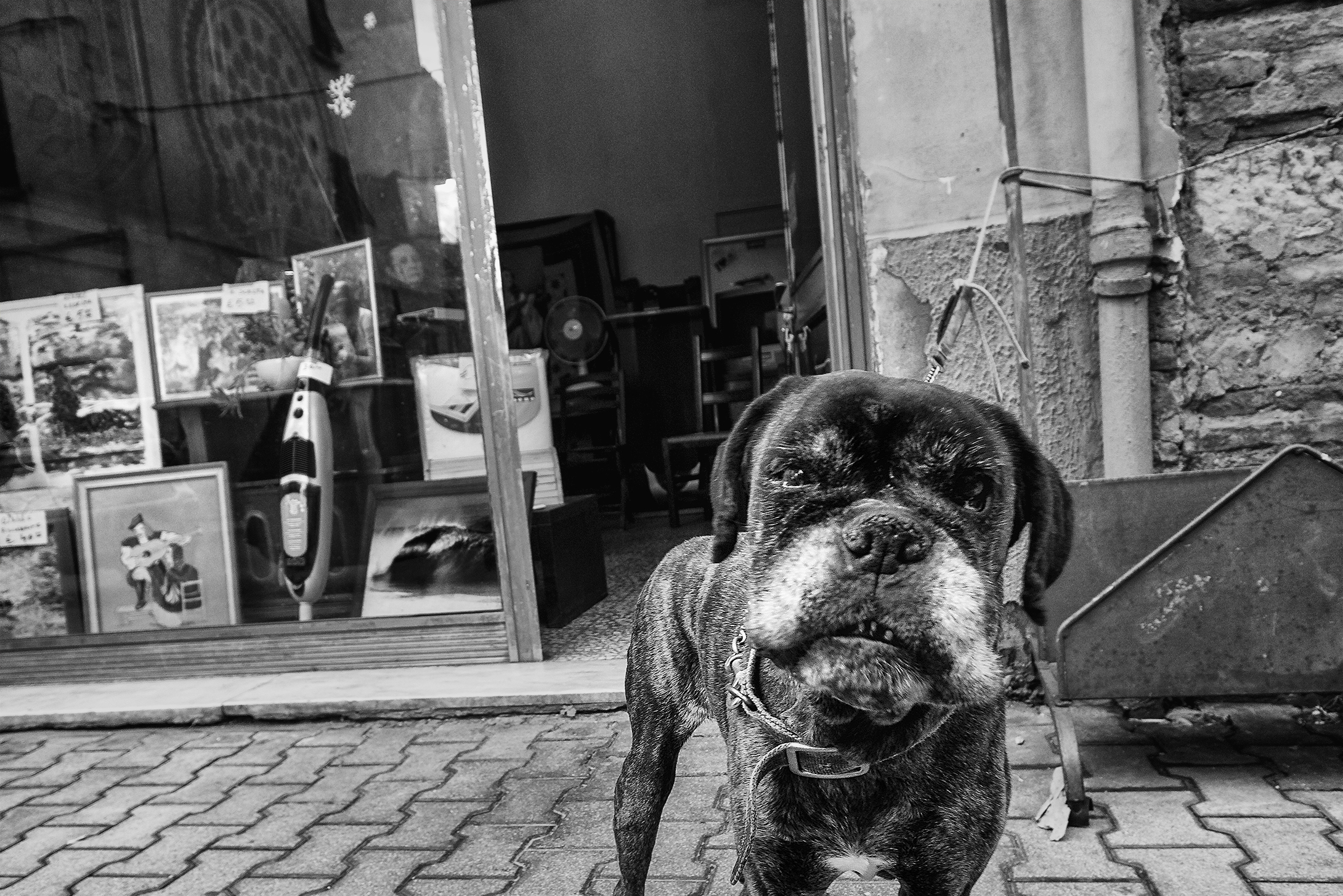 Il Guardiano del Minibazar