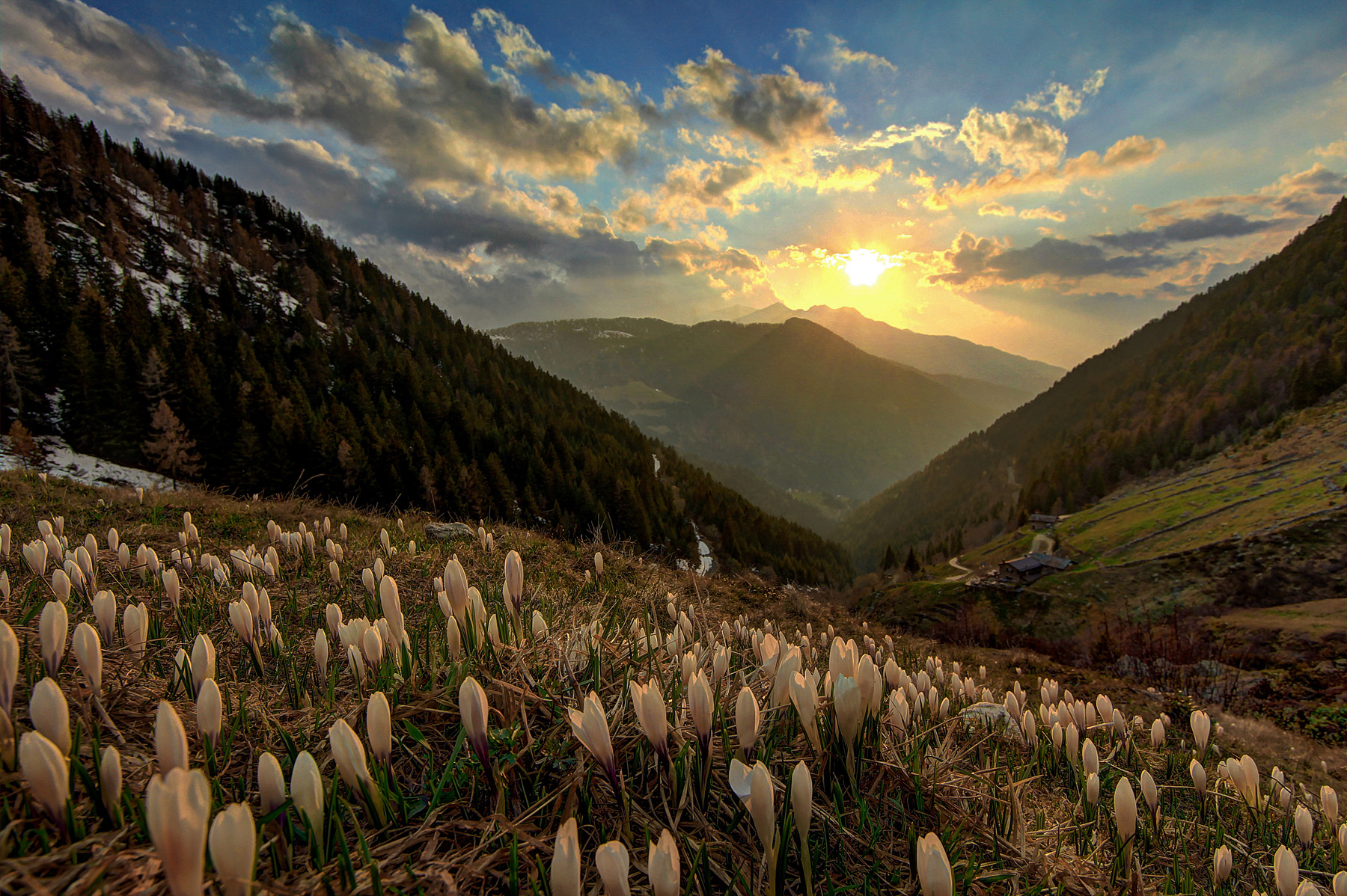 Alpe lago al tramonto