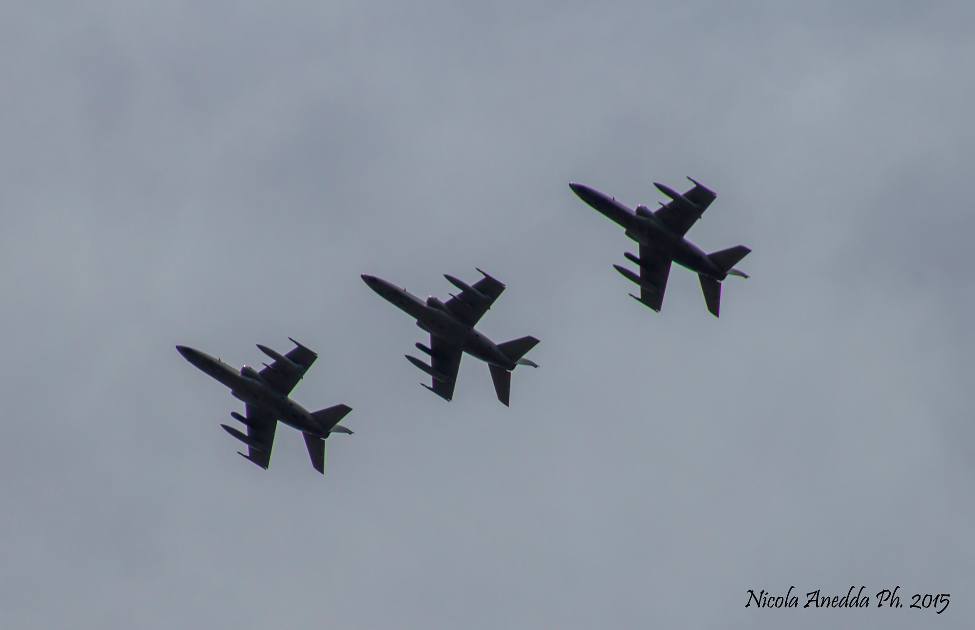 flock of birds motorized