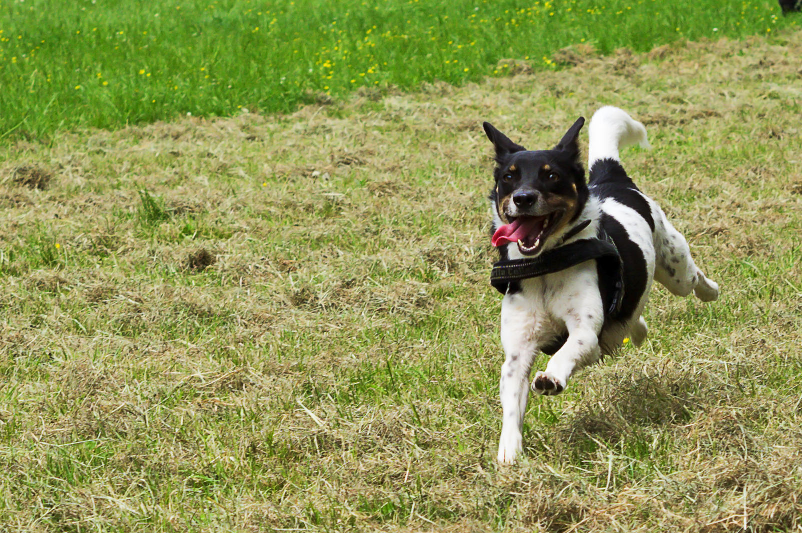 Oltre il muro del suono
