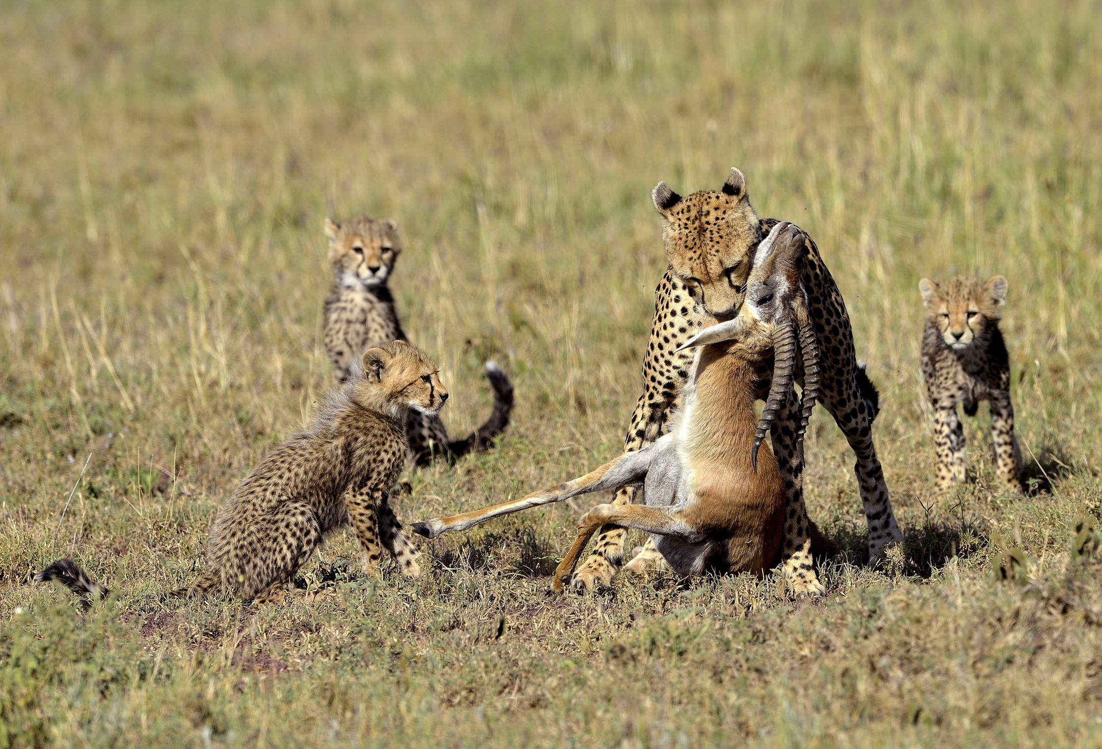 Tanzania 2015 - Interessati e coinvolti