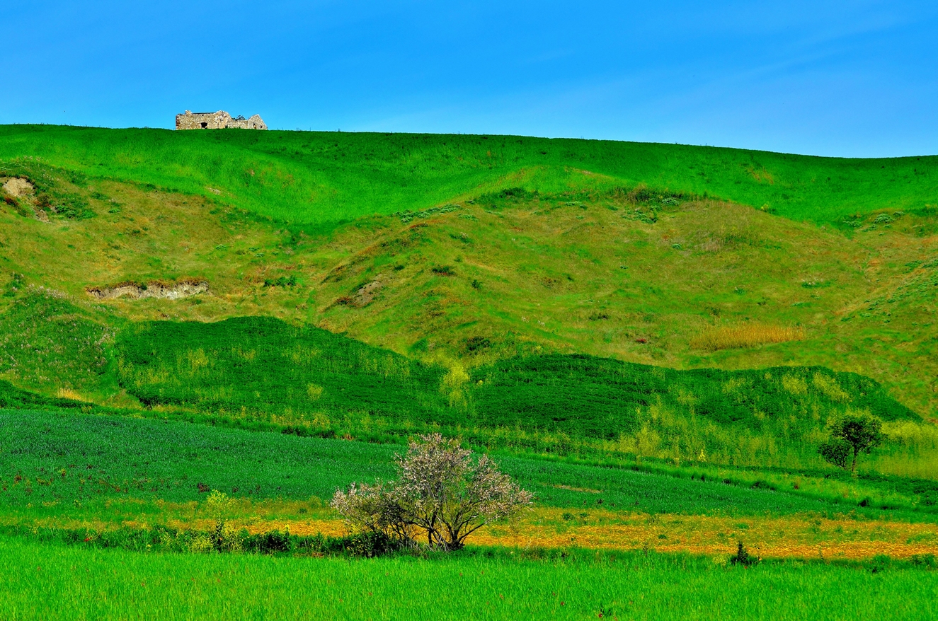 Galleggiando sul Verde