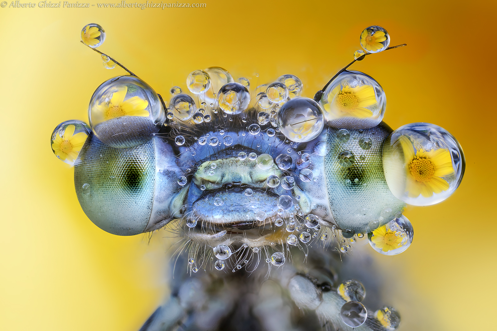 I'm just taking a bath