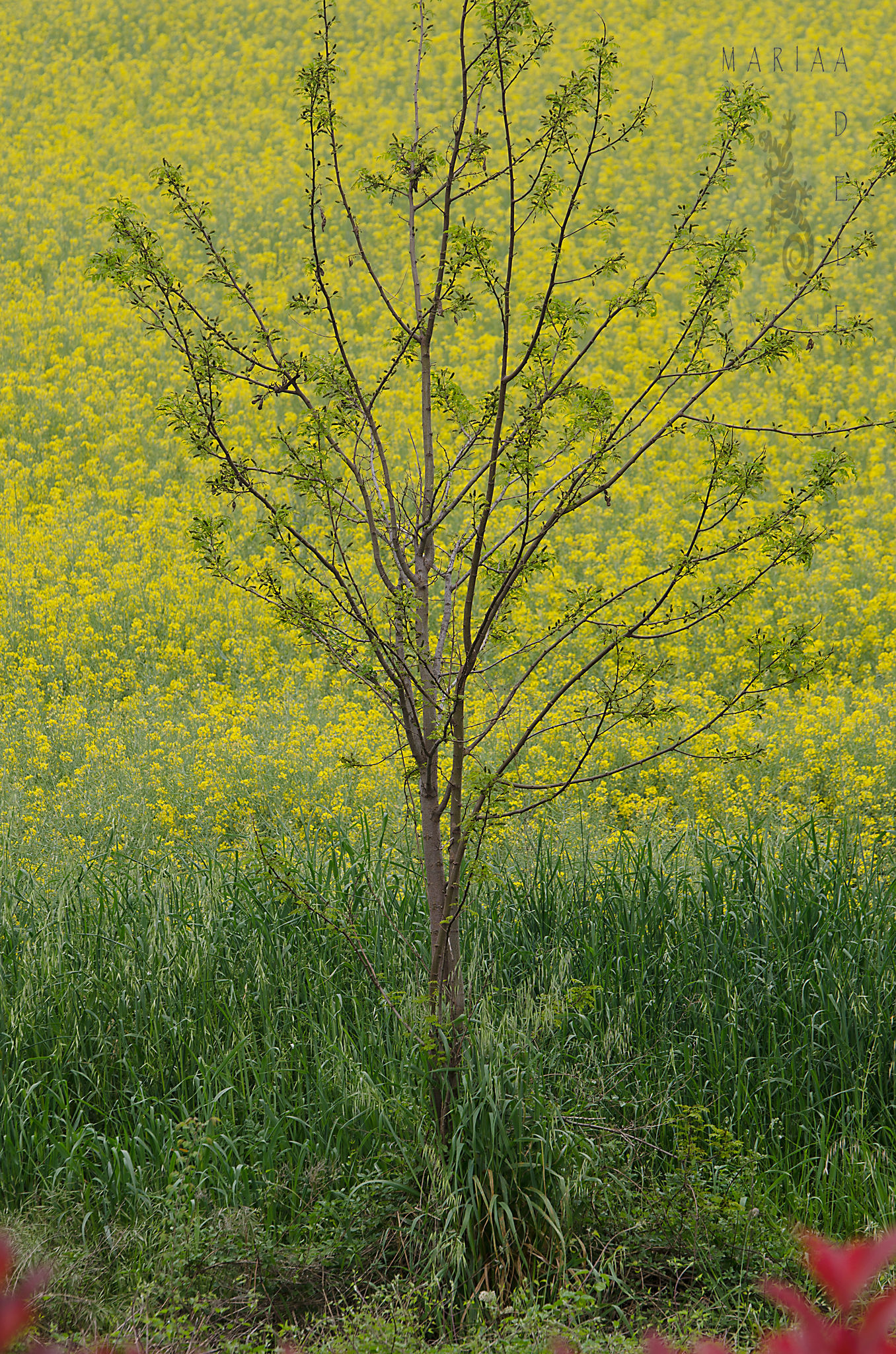 I am where I am ....