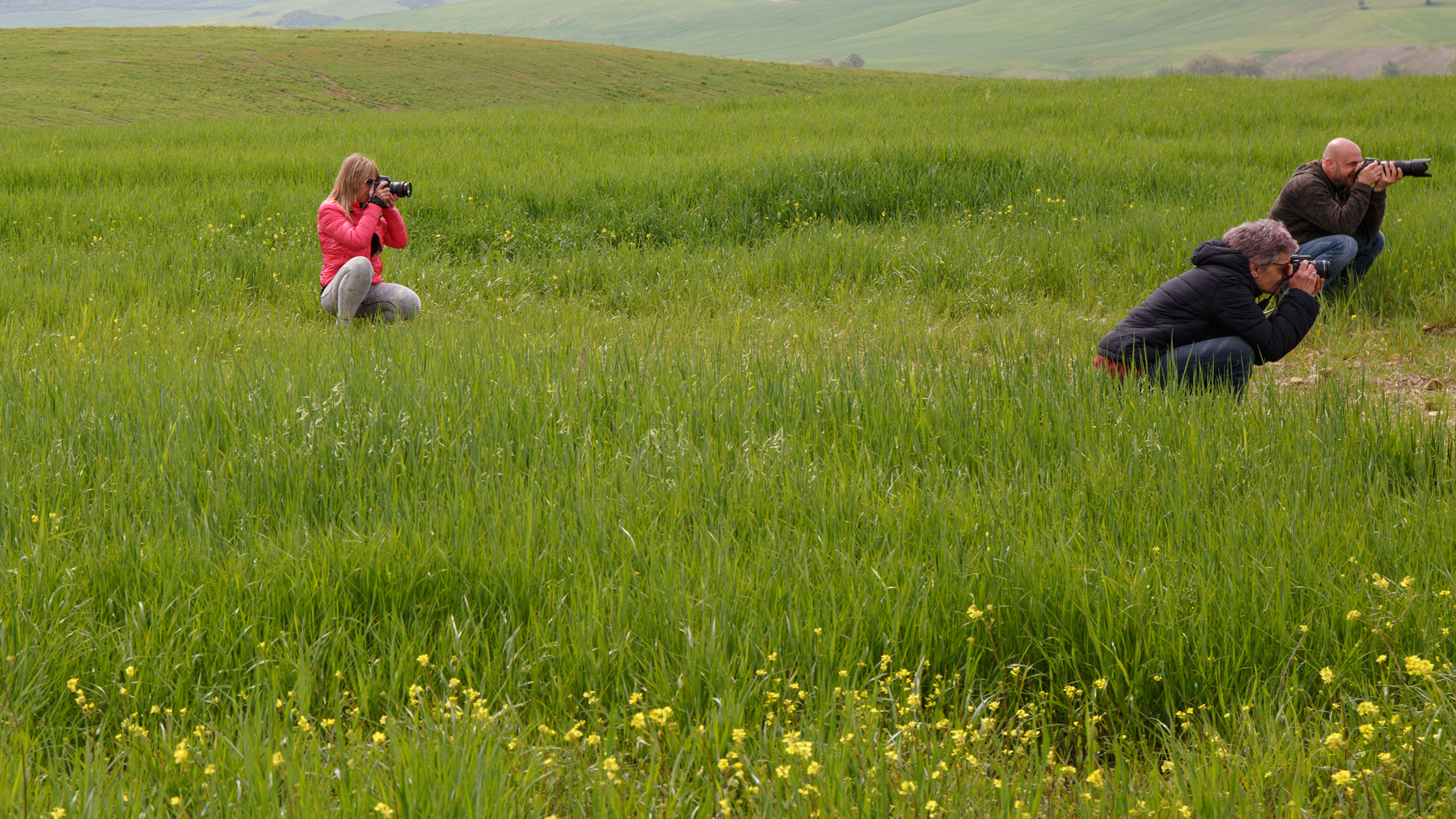 Points of view in Val d'Orcia