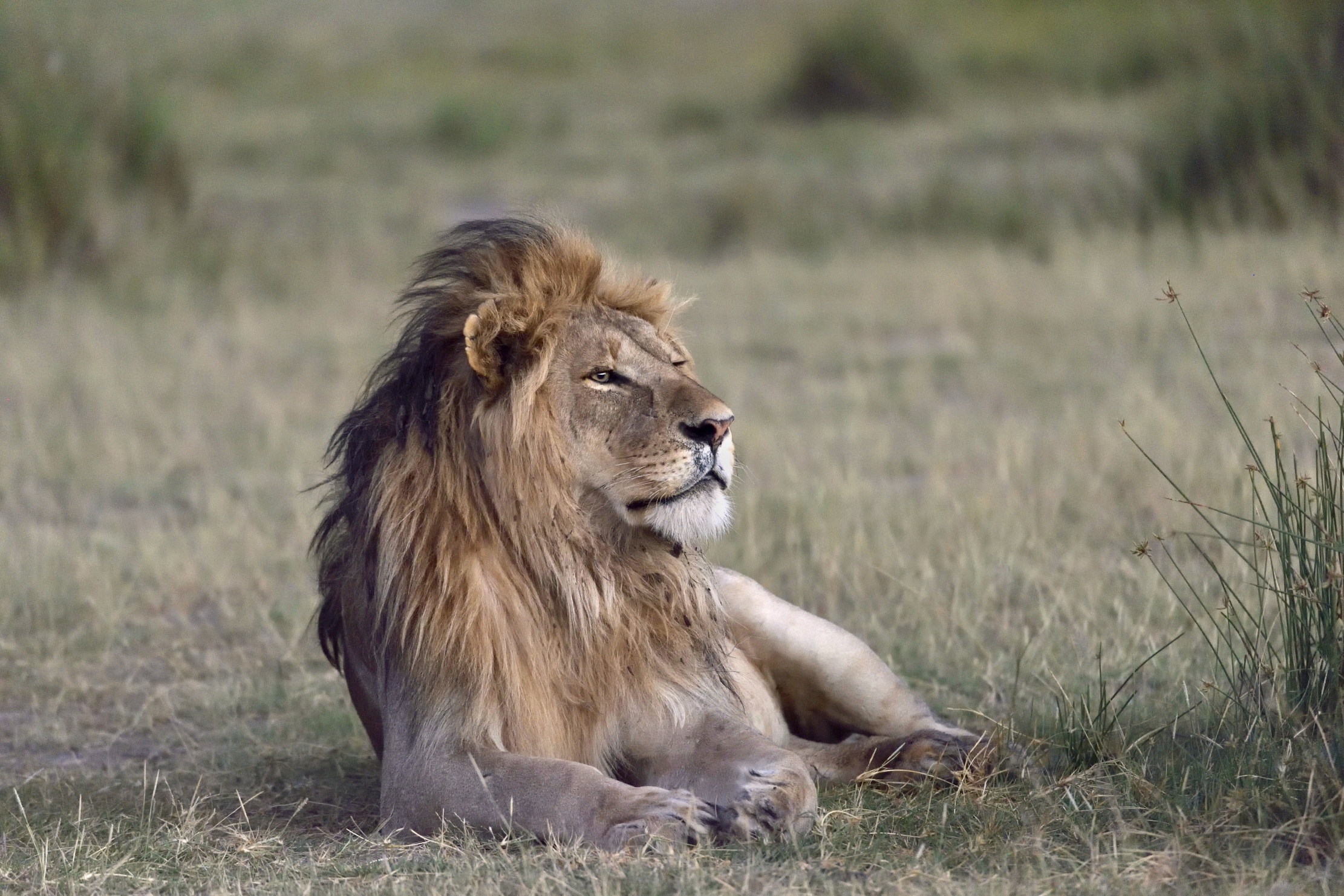 Tanzania 2015 - Alla brezza dell'alba
