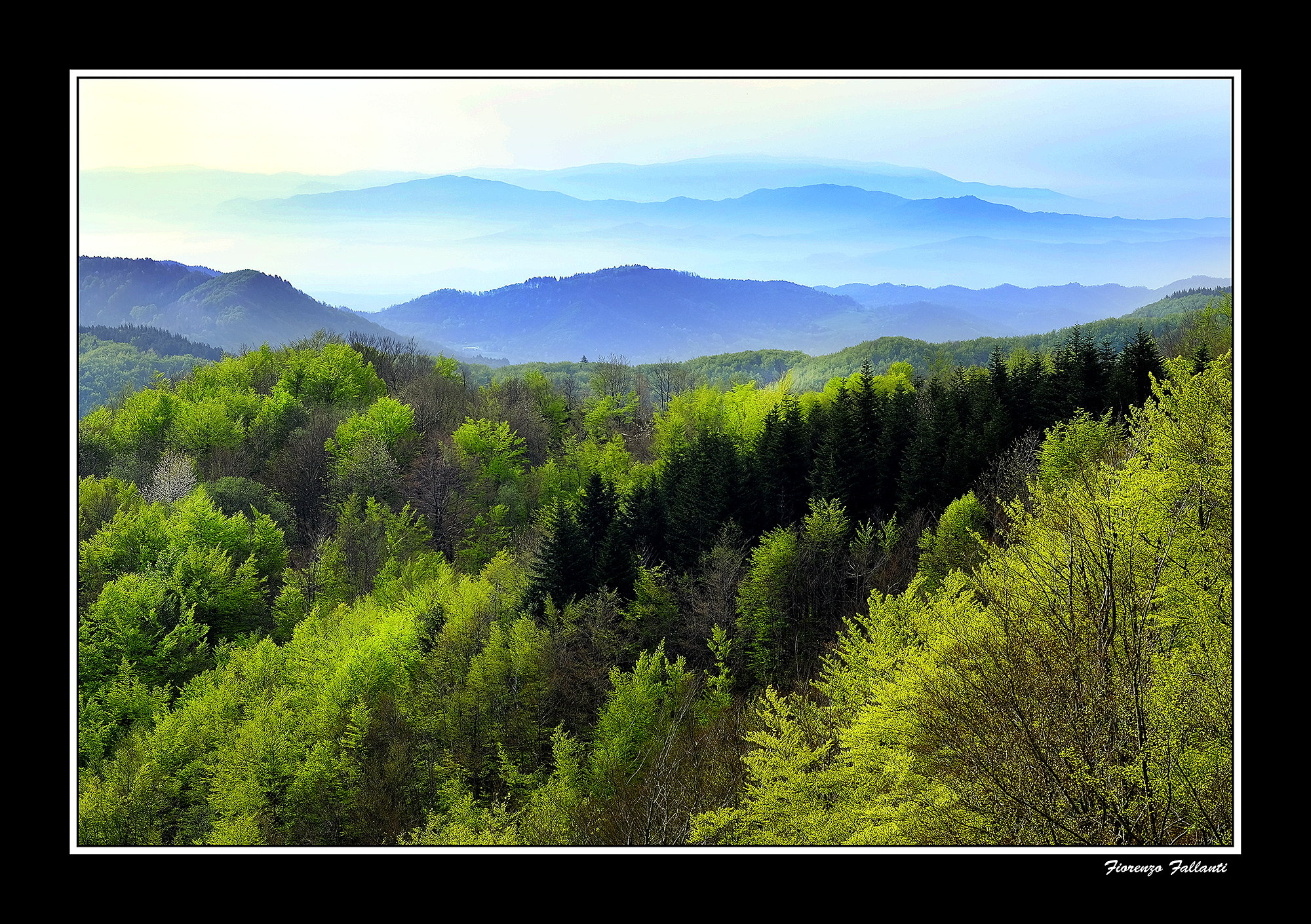...Primavera in Appennino Tosco-Emiliano