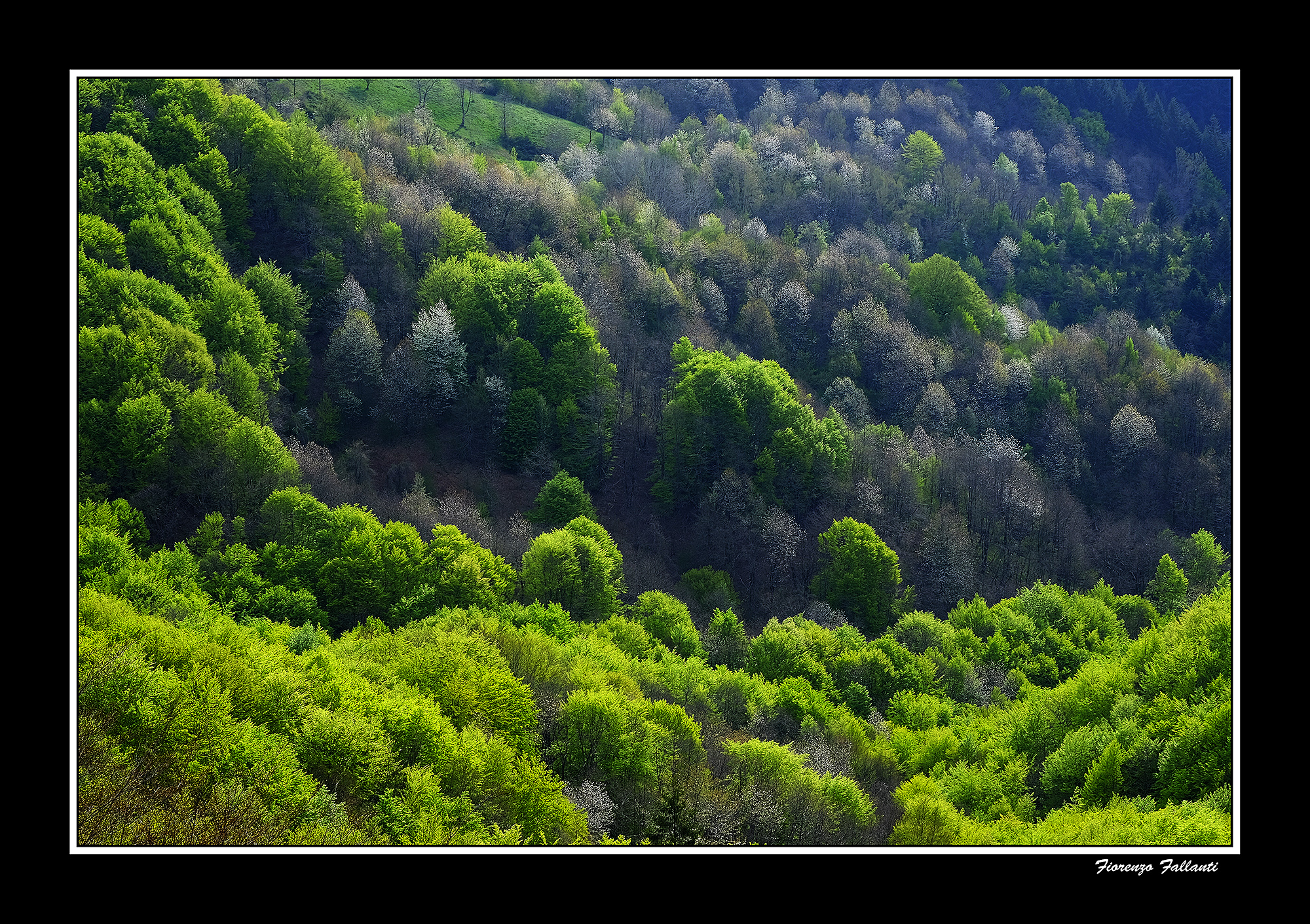 ...Primavera in Appennino Tosco-Emiliano