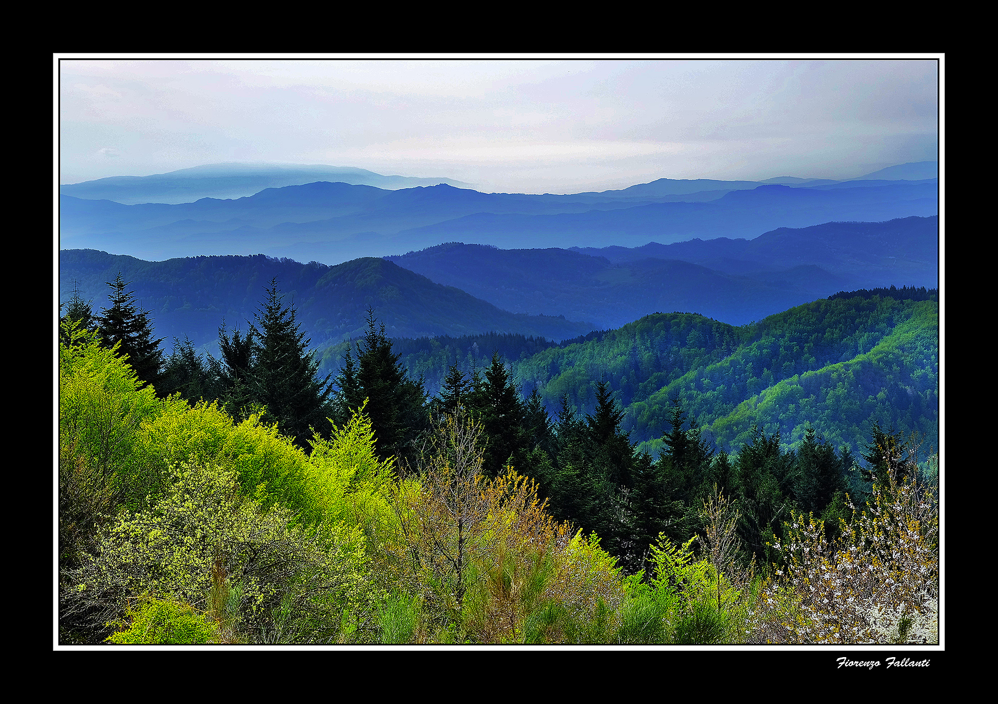 ...Primavera in Appennino Tosco-Emiliano