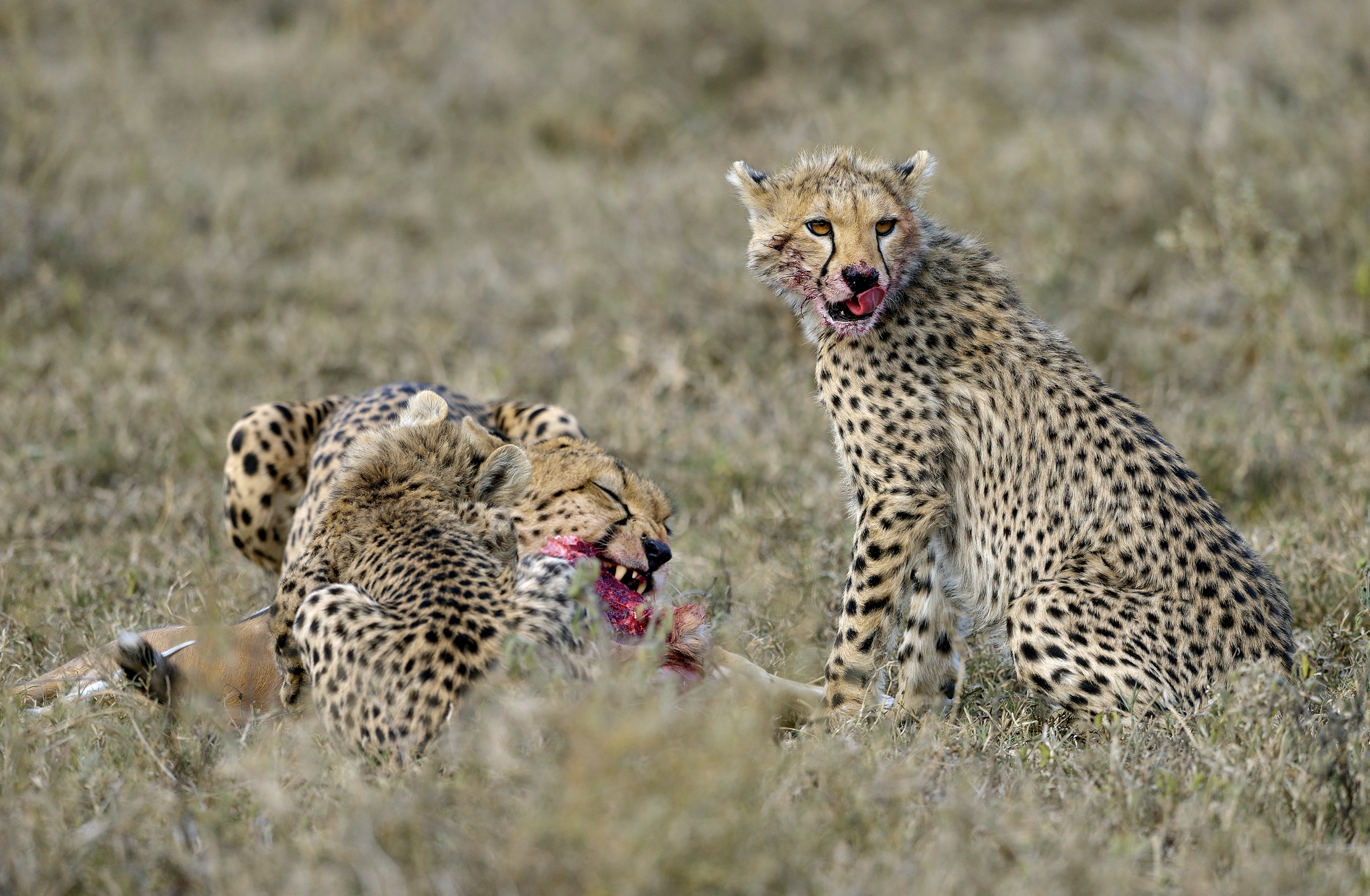 Tanzania 2015 - The Meal