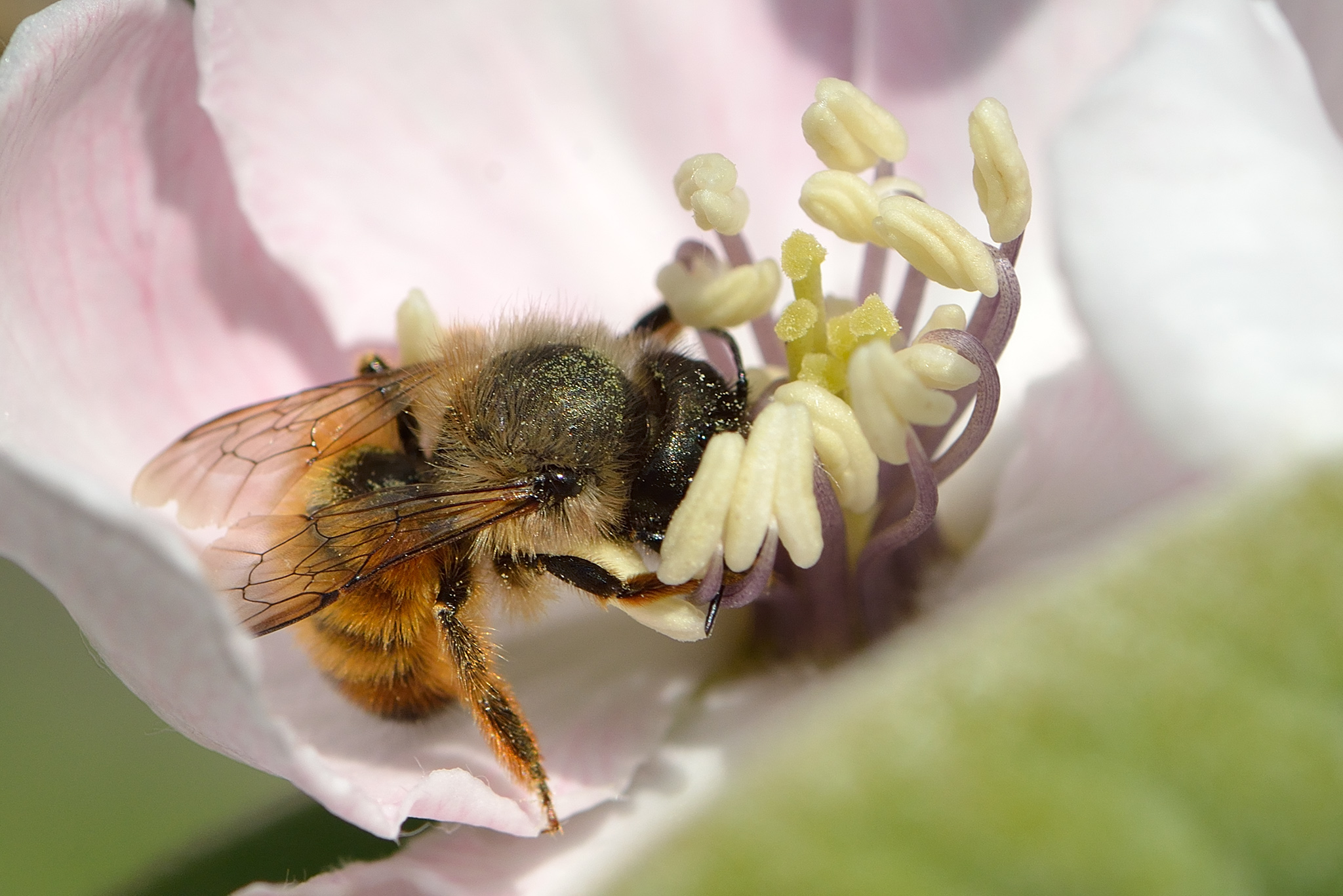 Rich dish I shove me ....