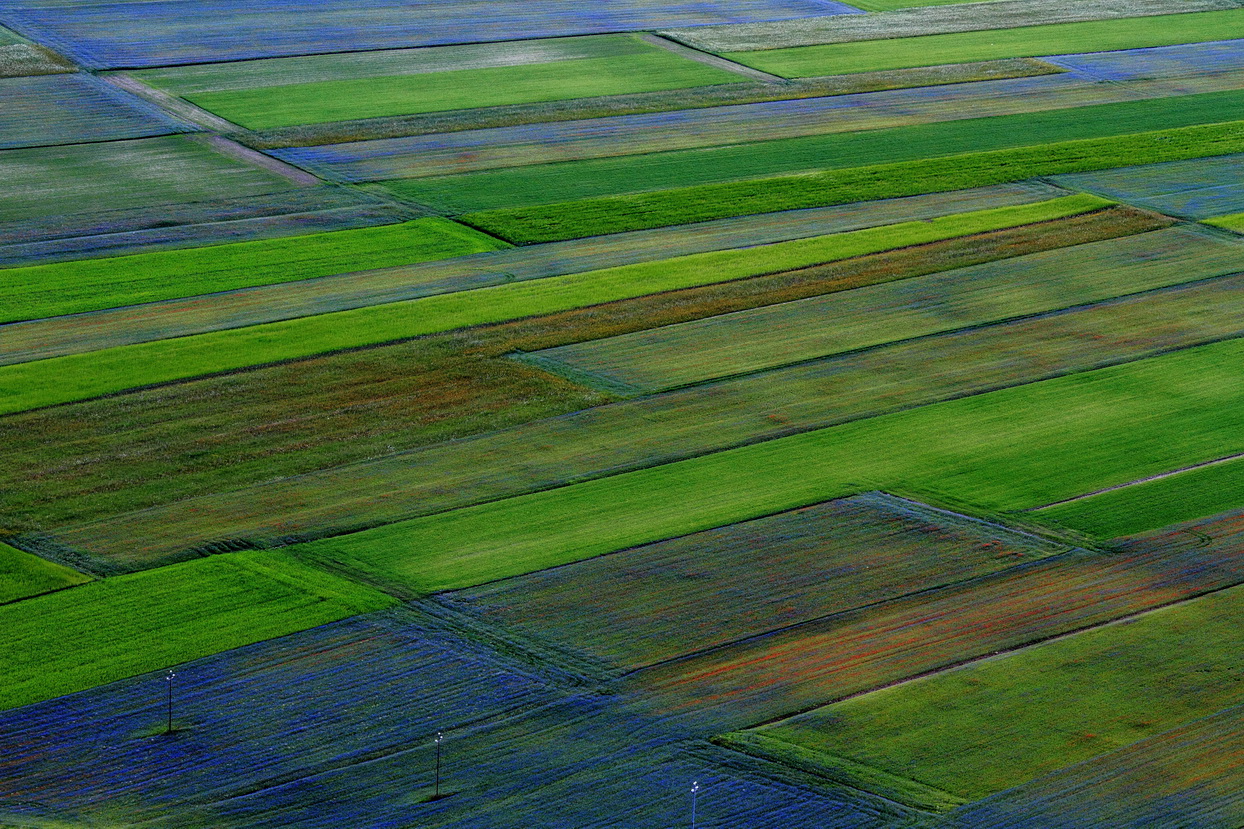 United colors of Castelluccio di Norcia