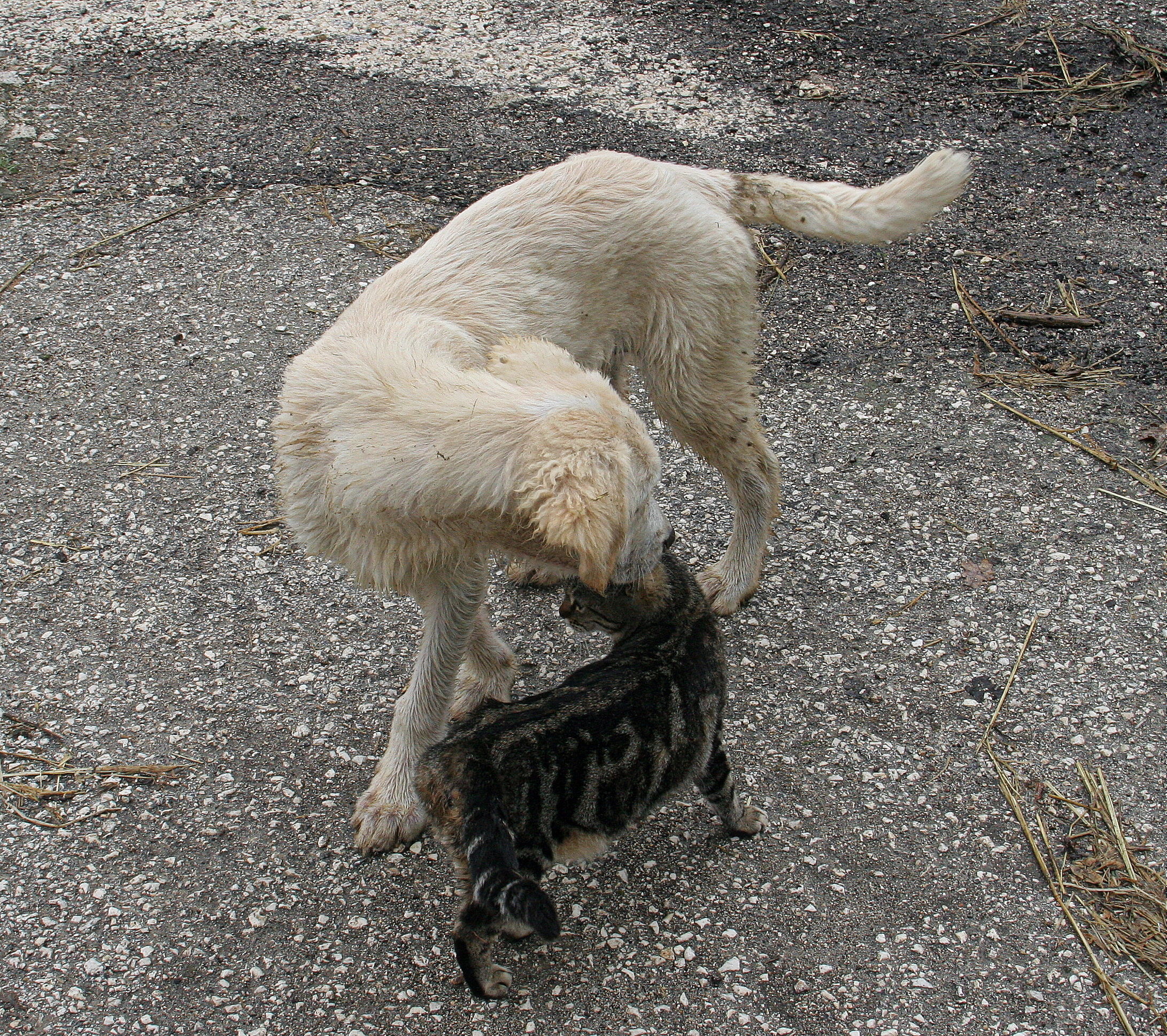 non è sempre vero che.....