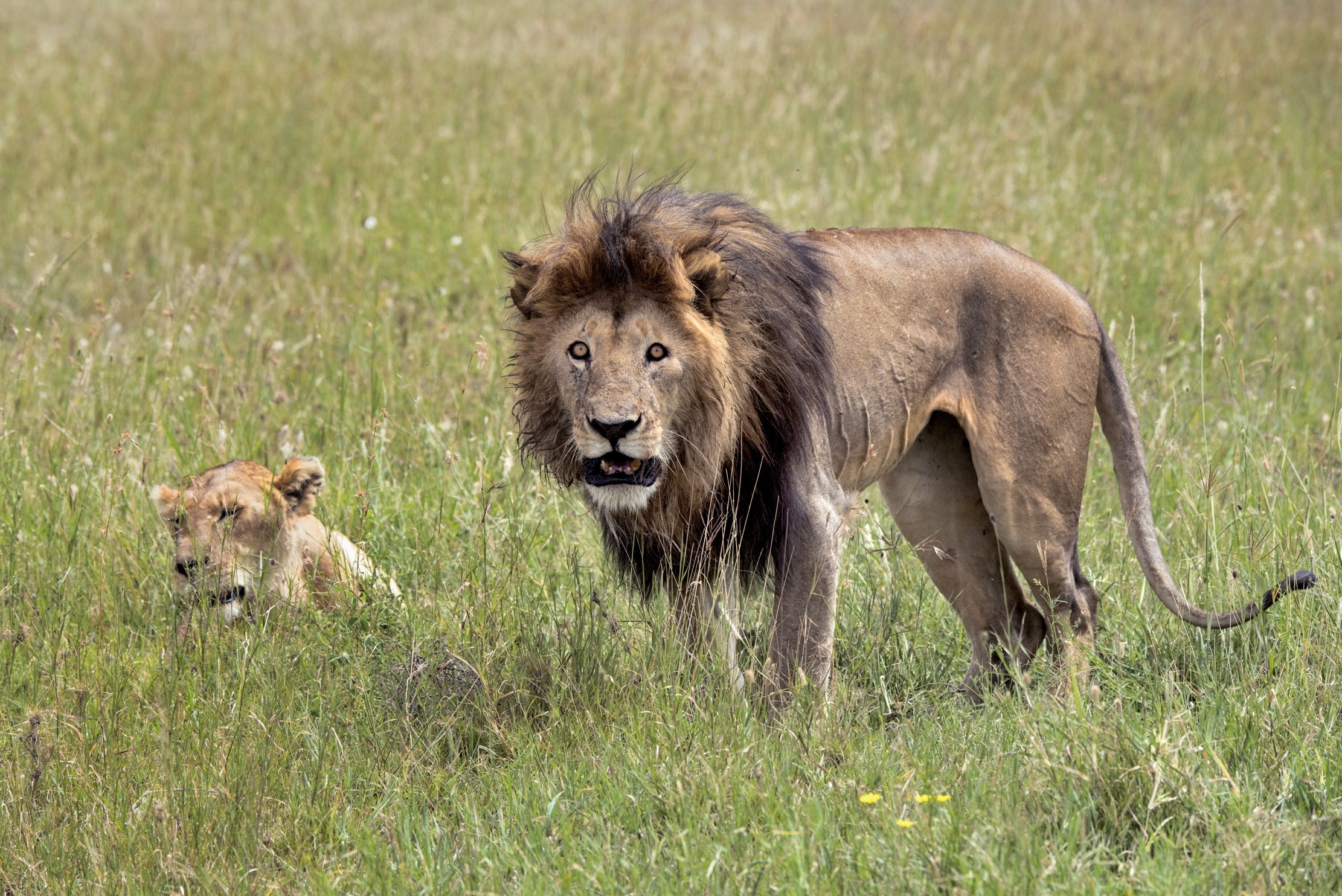 Tanzania 2015 -  Uno sguardo...un programma...