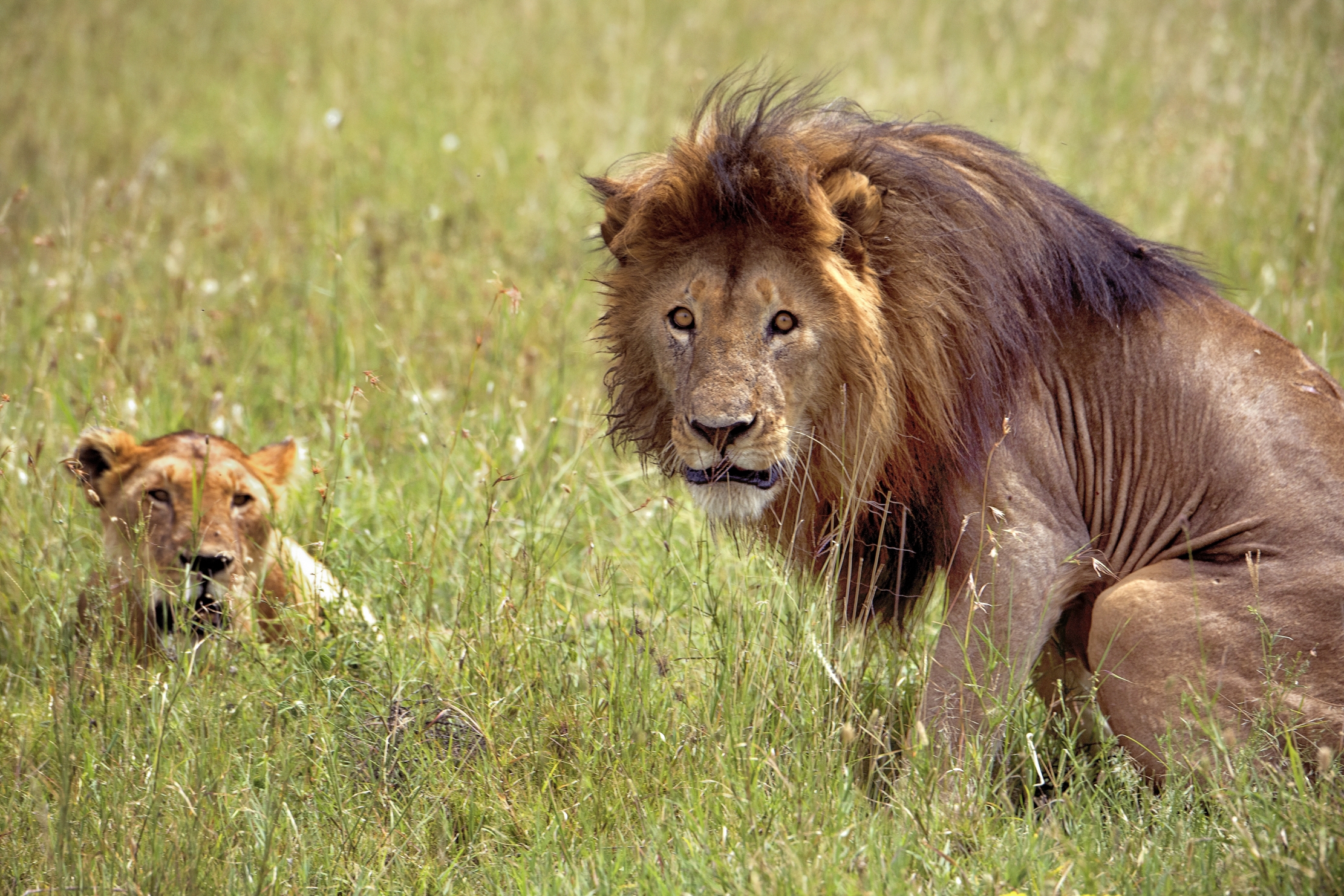 Tanzania 2015 - Basta uno sguardo....