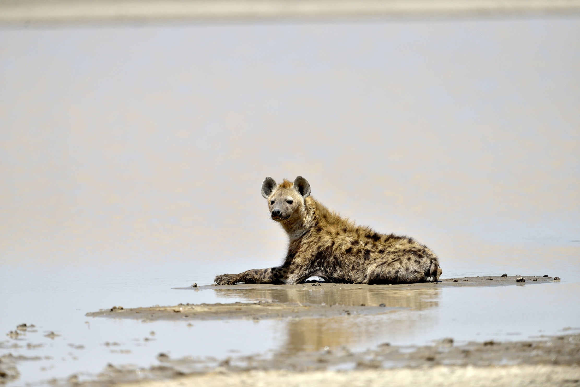 Tanzania 2015 - Frescura