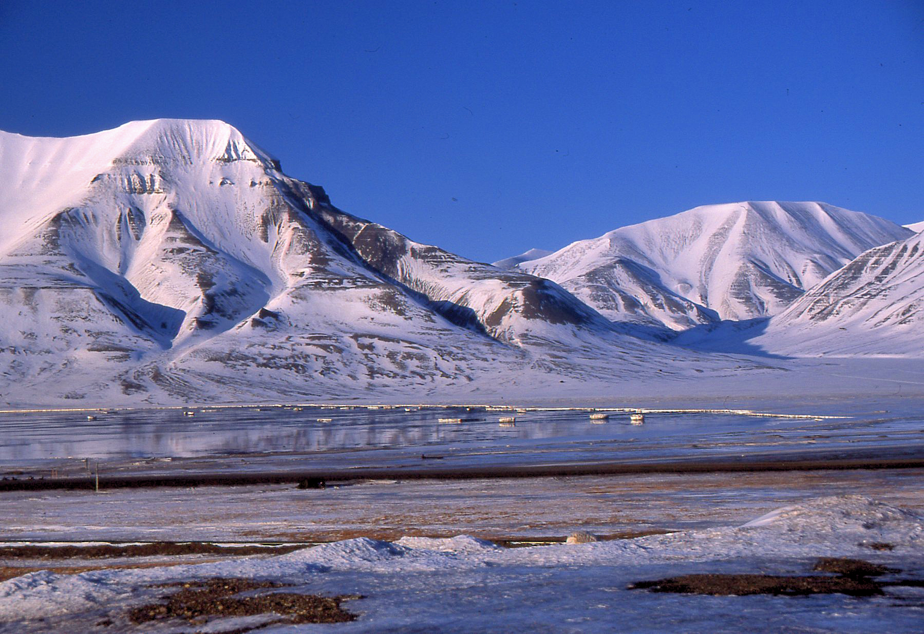 svalbard thaw begins