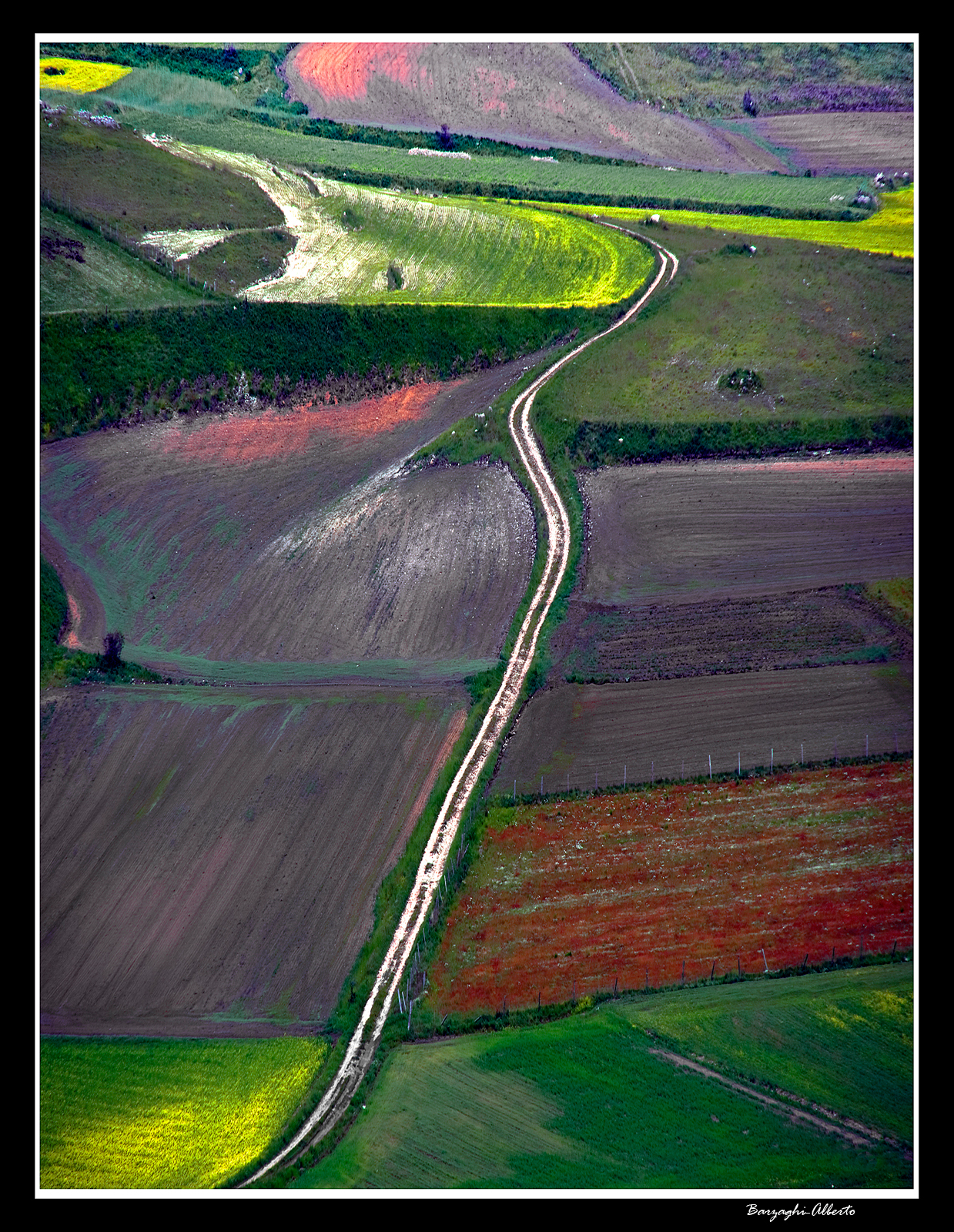 la strada nella piana di Castelluccio