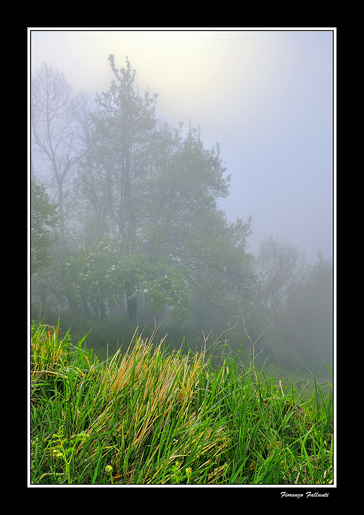 ... Spring in High Apennine