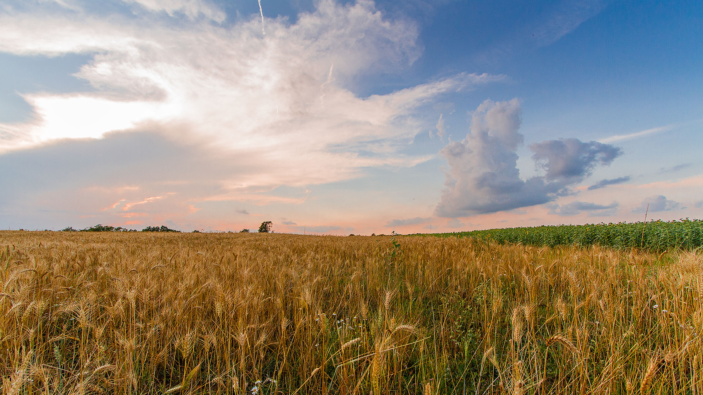 Tramonto estivo (2014)
