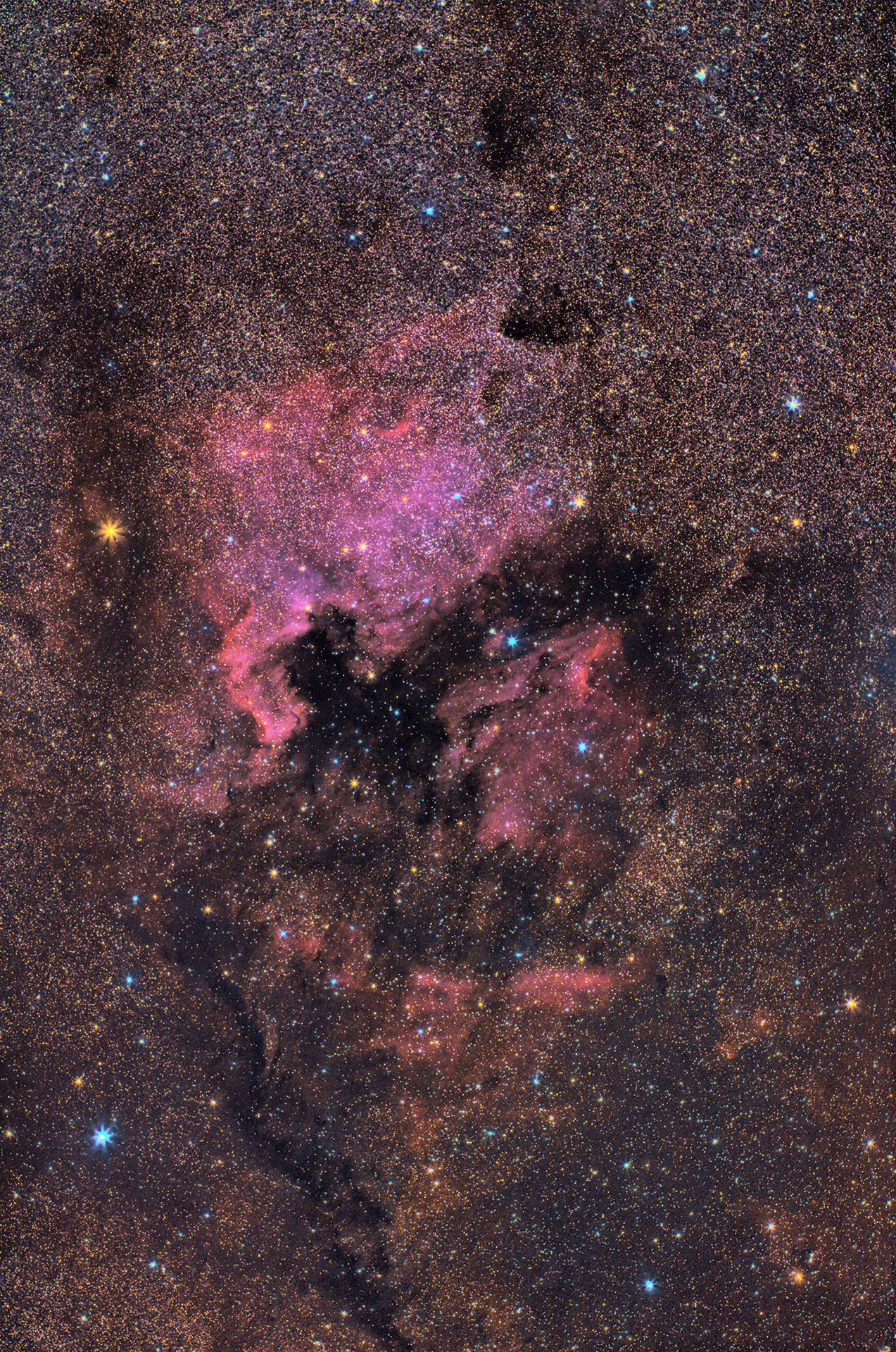 NGC 7000 - IC 5070