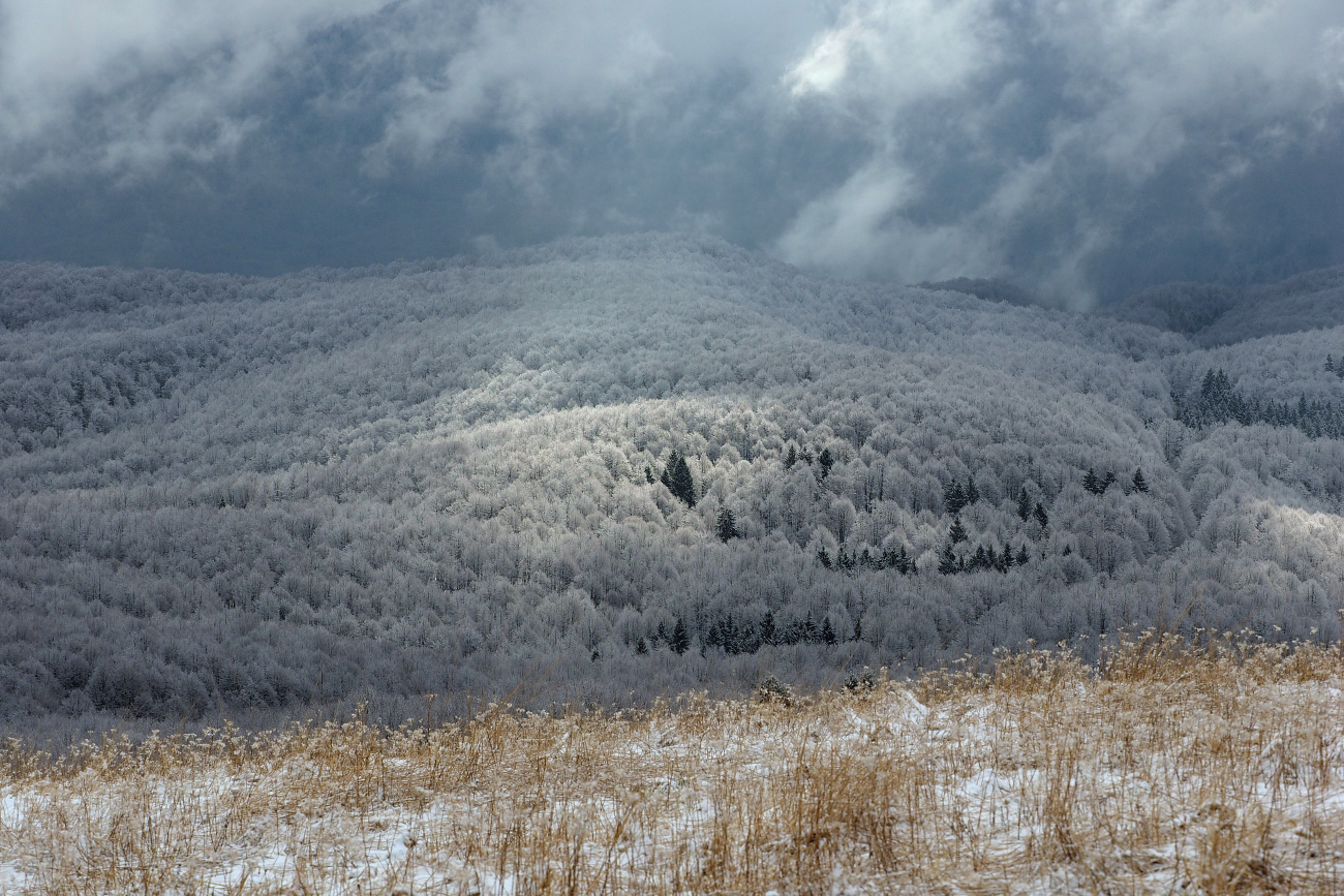 Cansiglio, the last snowfall spring