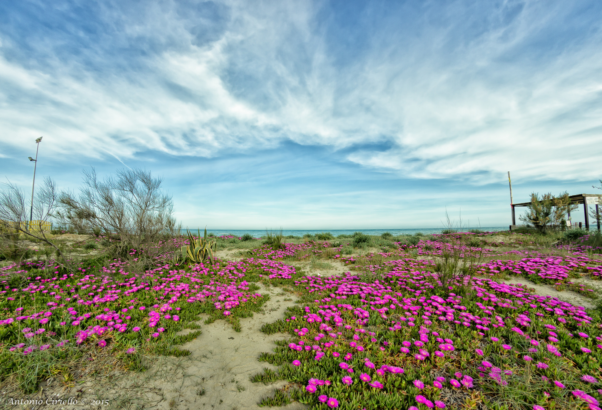 to the beach of the gods