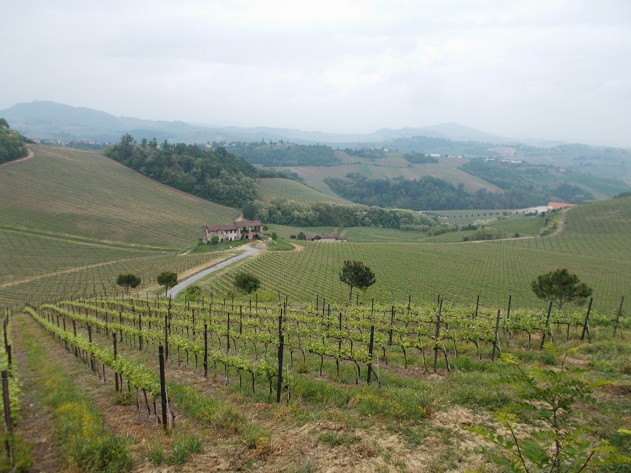 Colline Oltrepò Pavese