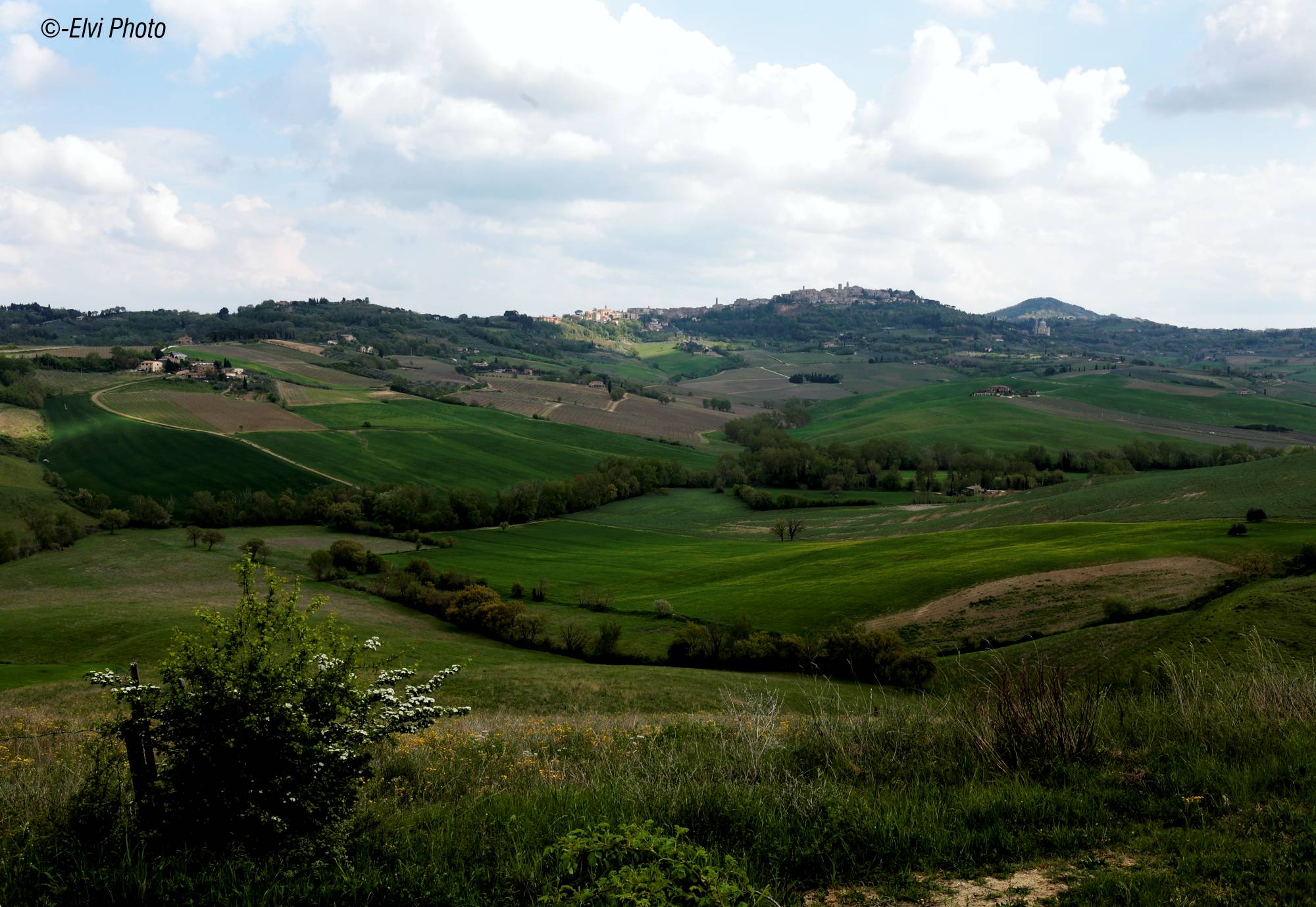 Montepulciano .. by early afternoon