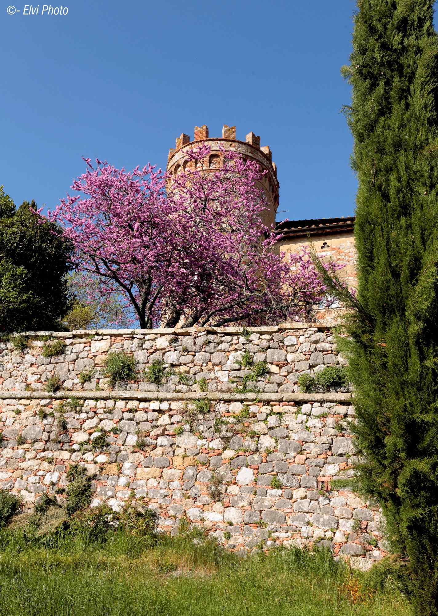 Glimpses of Monte Follonico